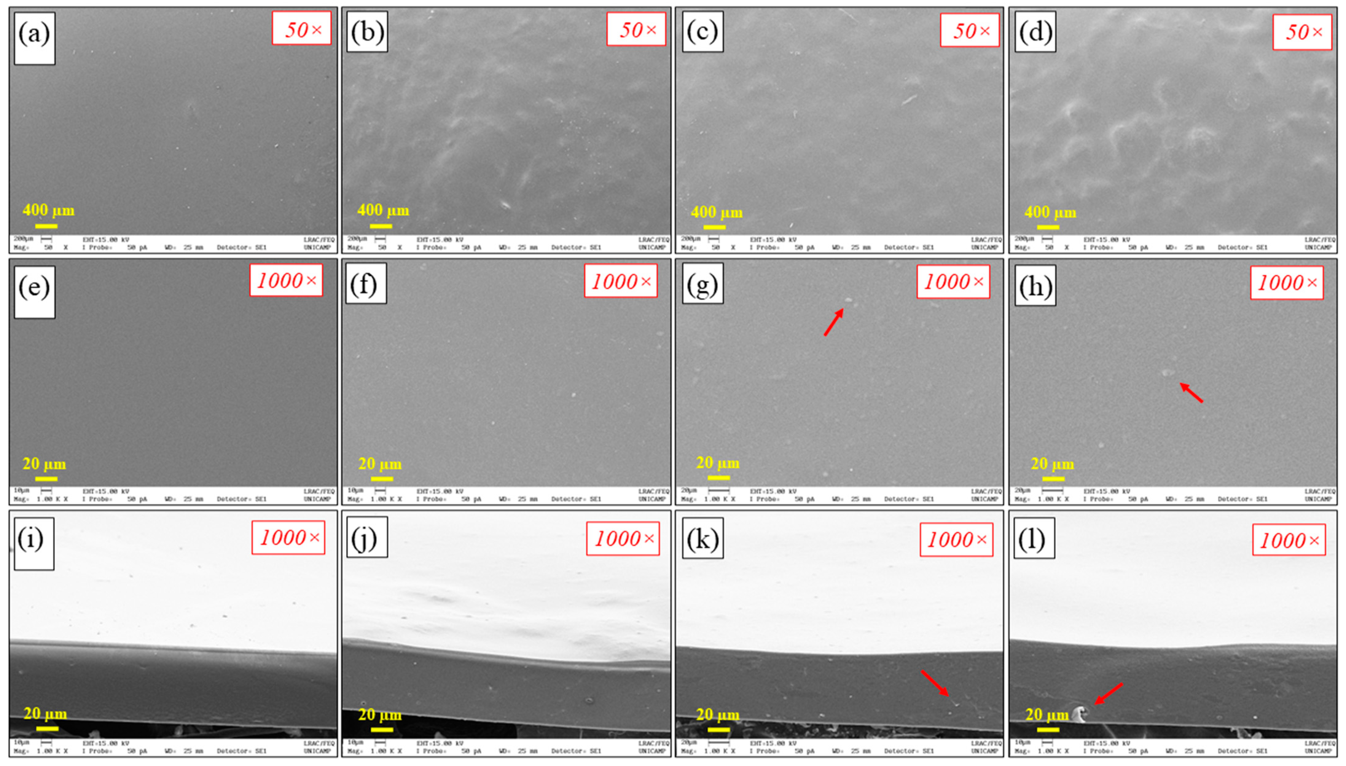 Coatings 13 00465 g001 Coatings 13 00465 g001