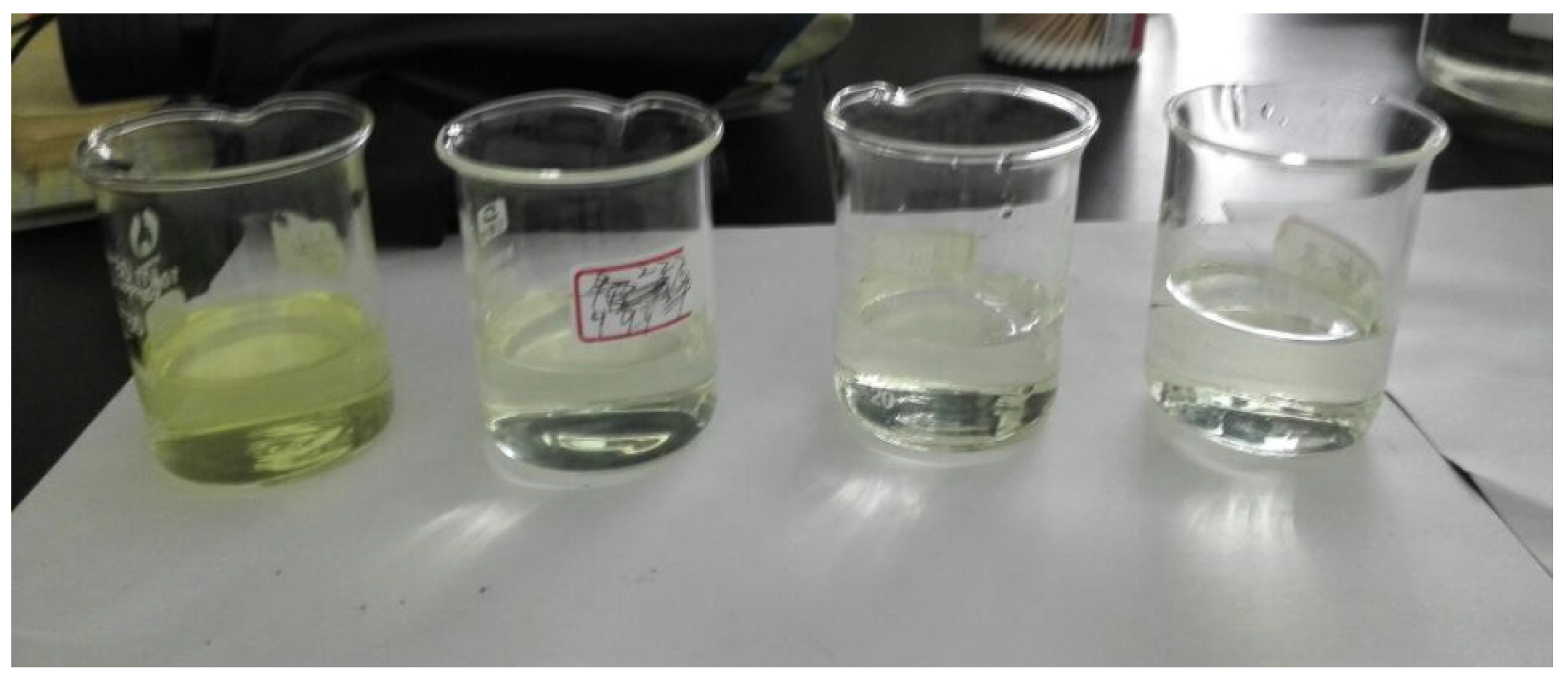 Coatings 13 00468 g001