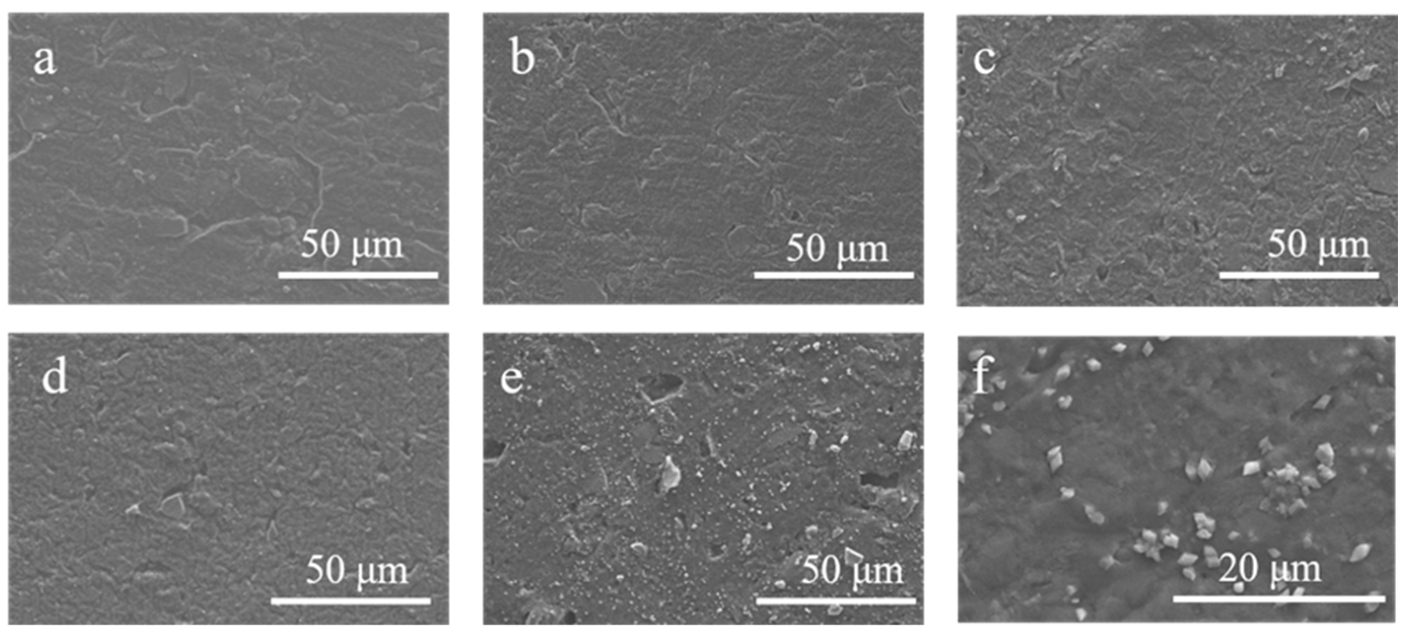 Coatings 13 00468 g002