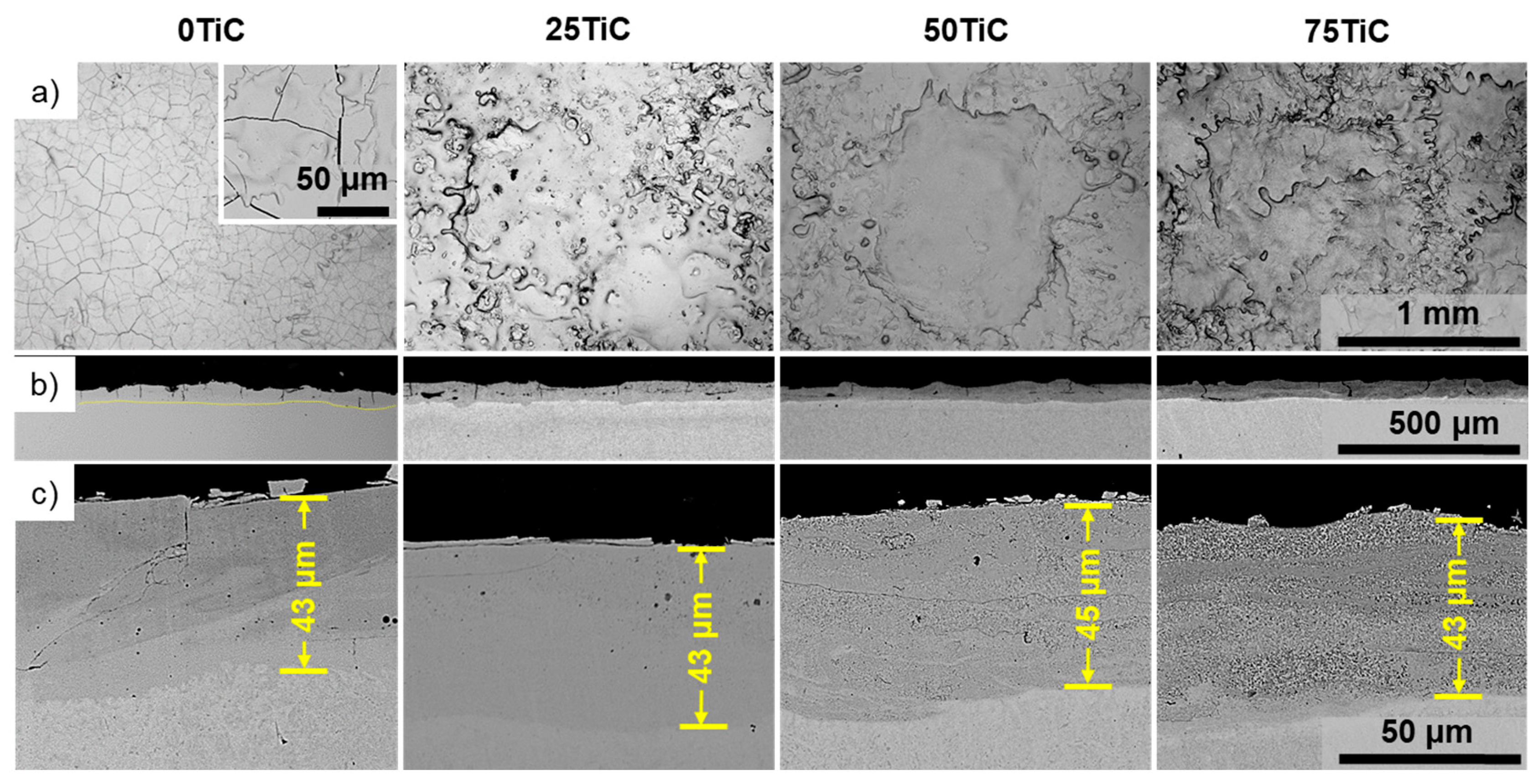Coatings 13 00469 g002