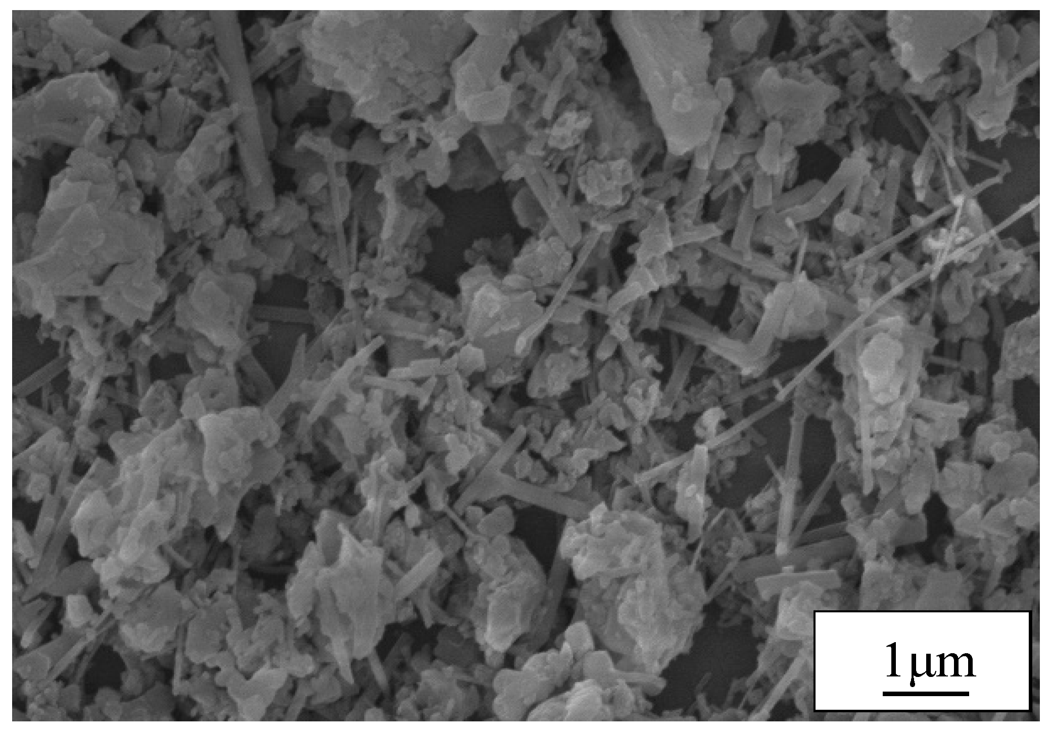 Coatings 13 00475 g001