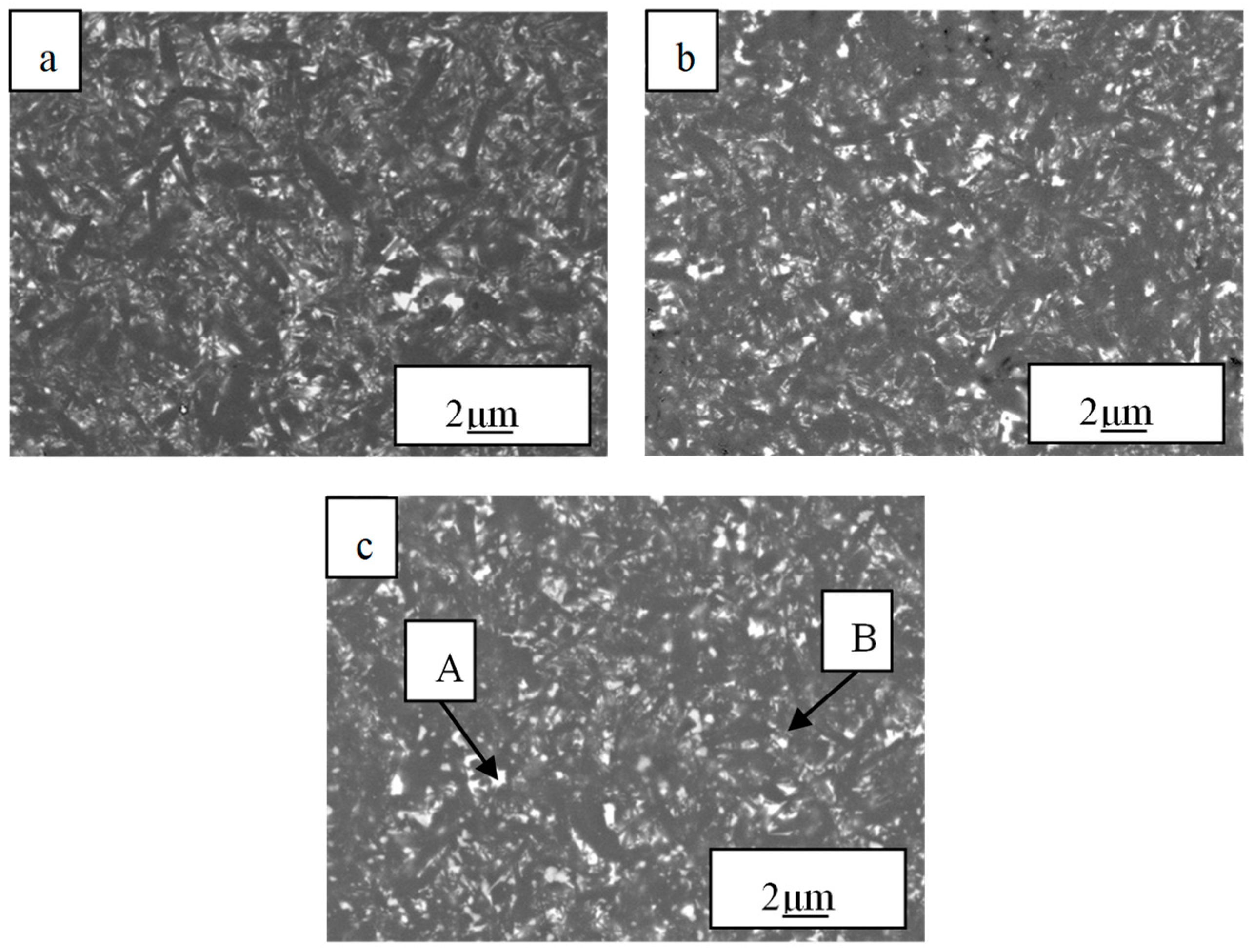 Coatings 13 00475 g004