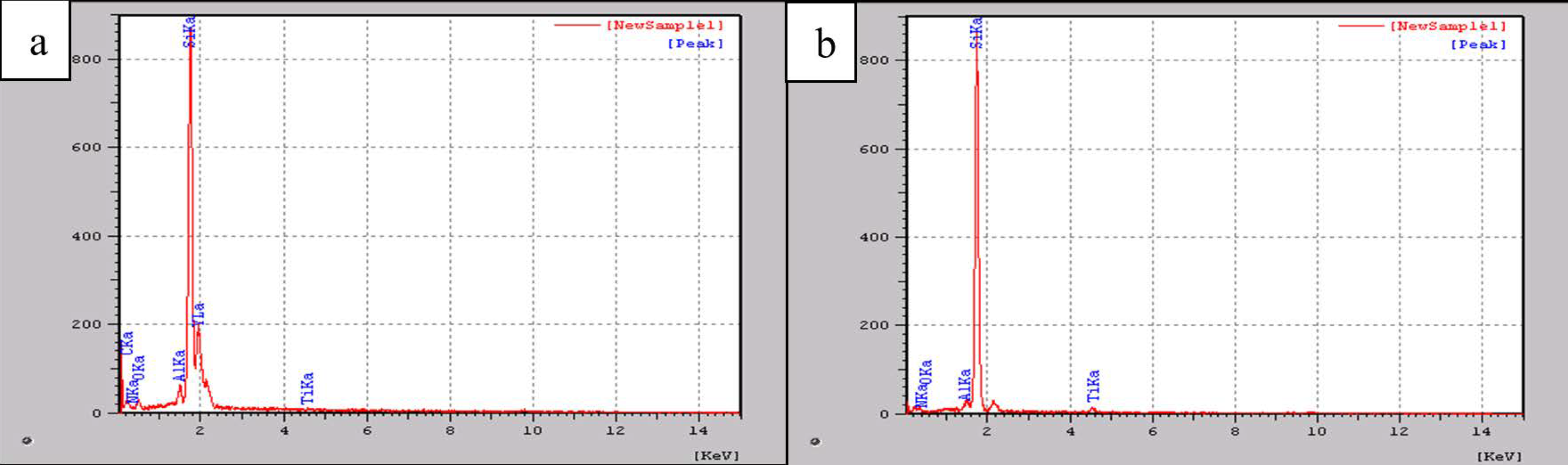 Coatings 13 00475 g005 550