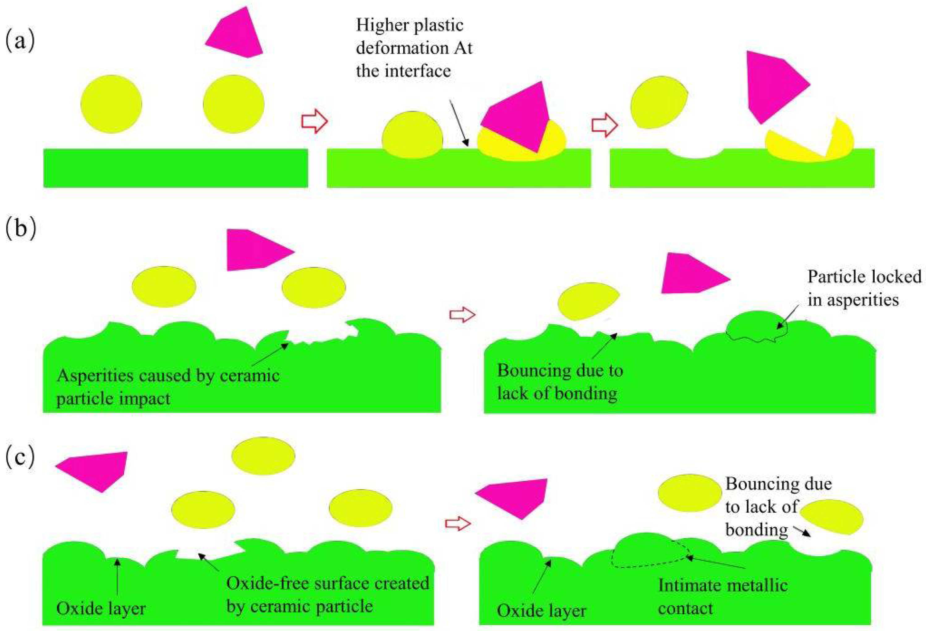 Coatings 13 00479 g003 550