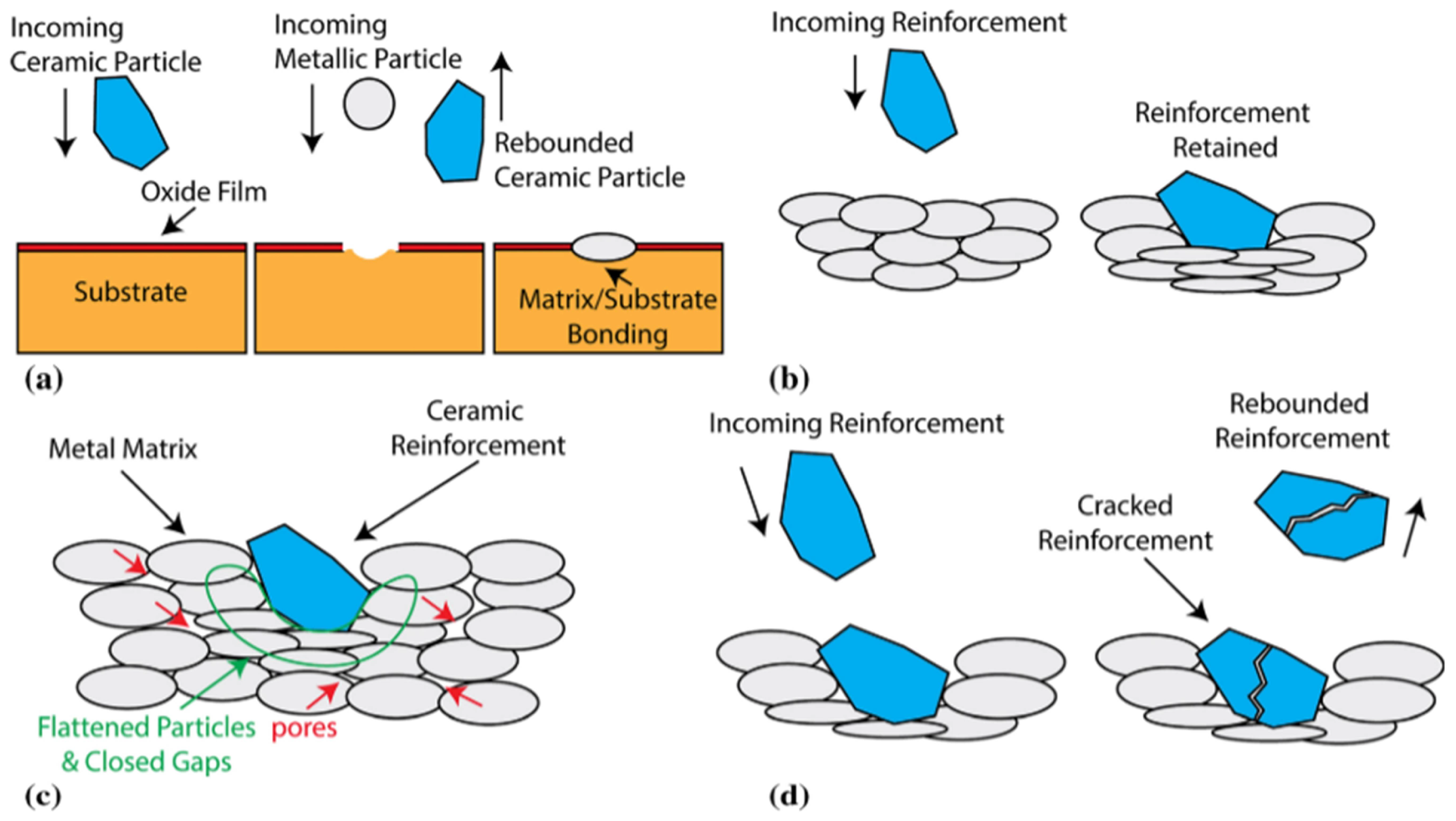 Coatings 13 00479 g004 550
