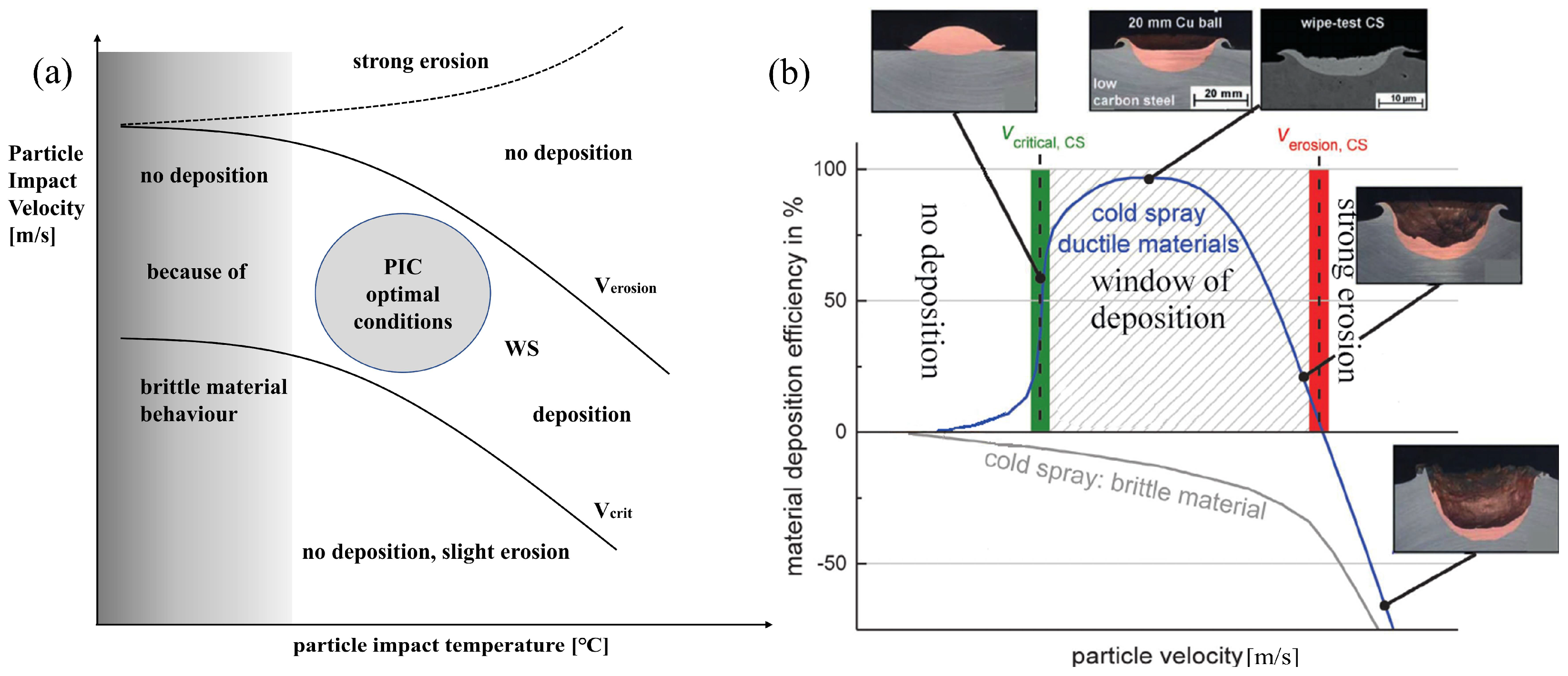 Coatings 13 00479 g005