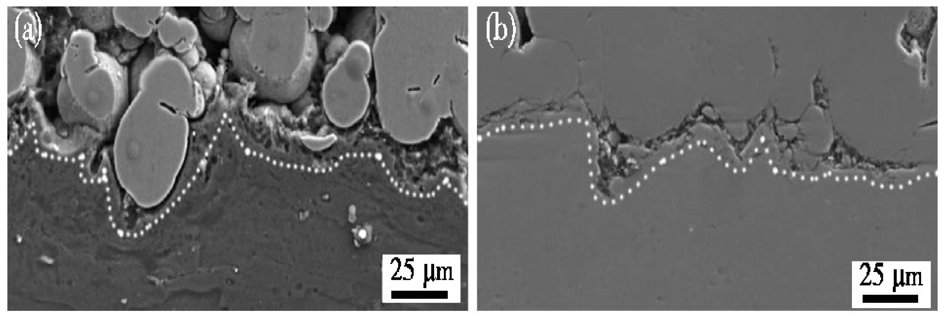 Coatings 13 00479 g009
