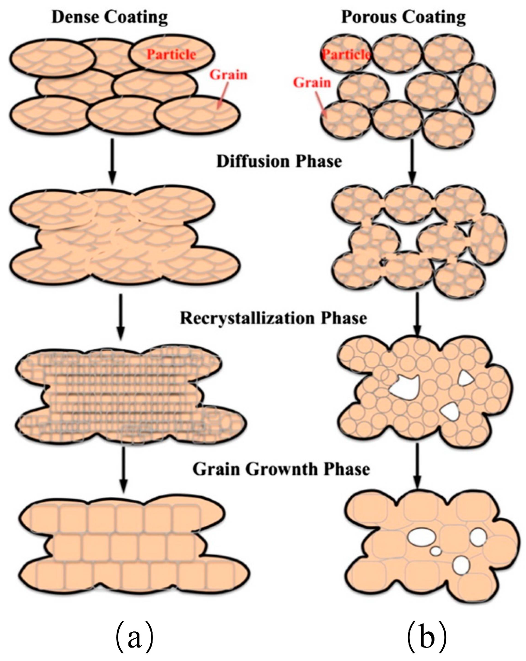 Coatings 13 00479 g019
