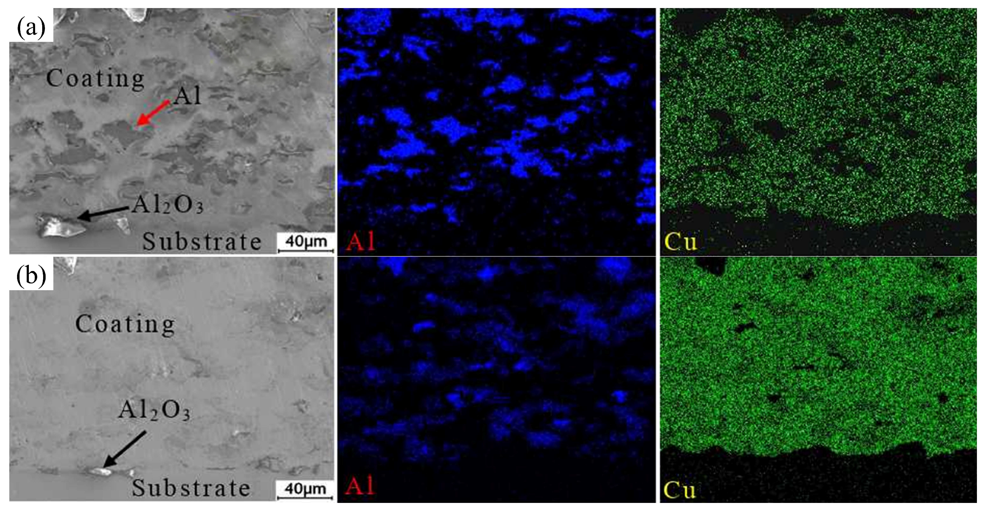 Coatings 13 00479 g020