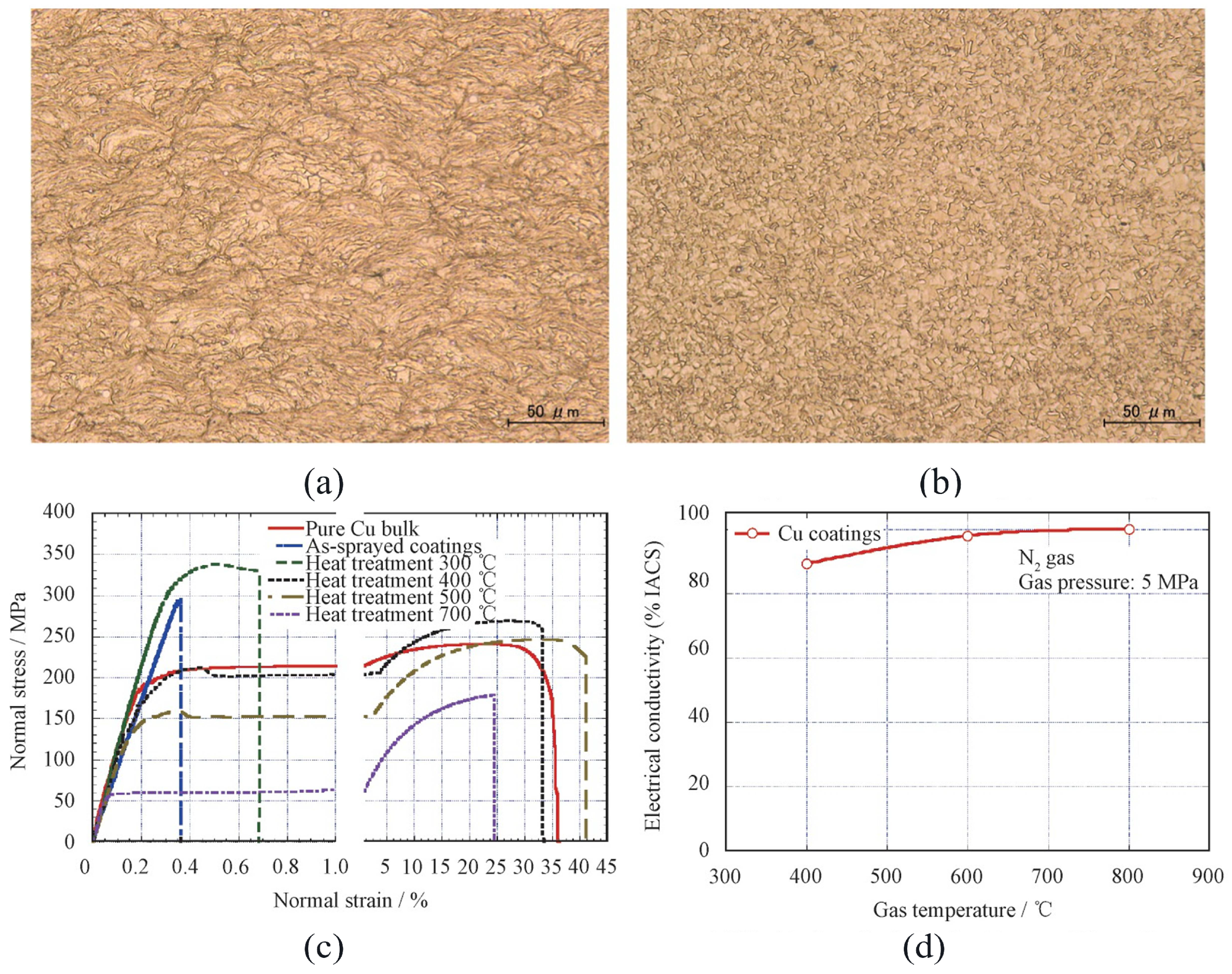 Coatings 13 00479 g021