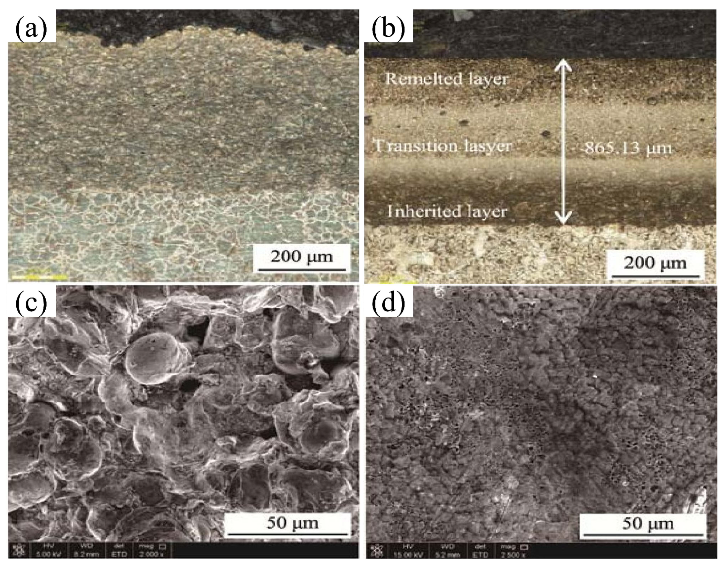Coatings 13 00479 g028