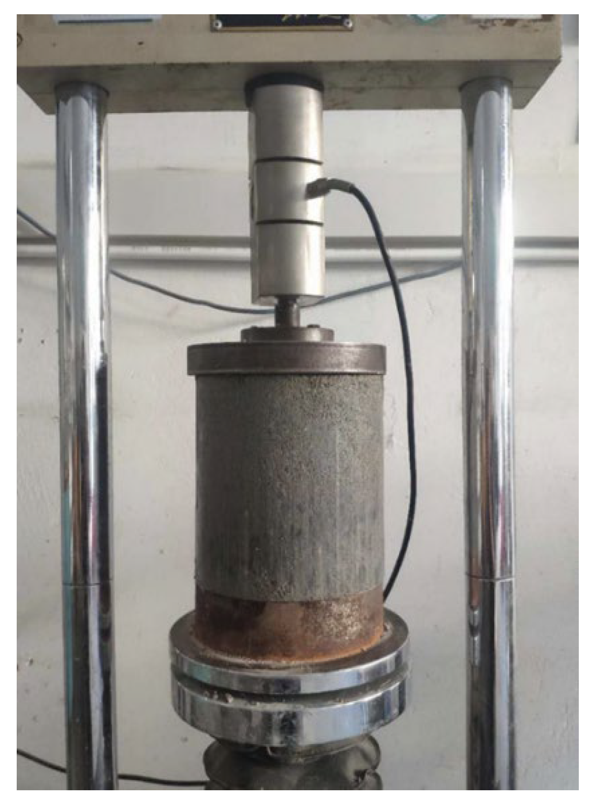 Coatings 13 00487 g004 550