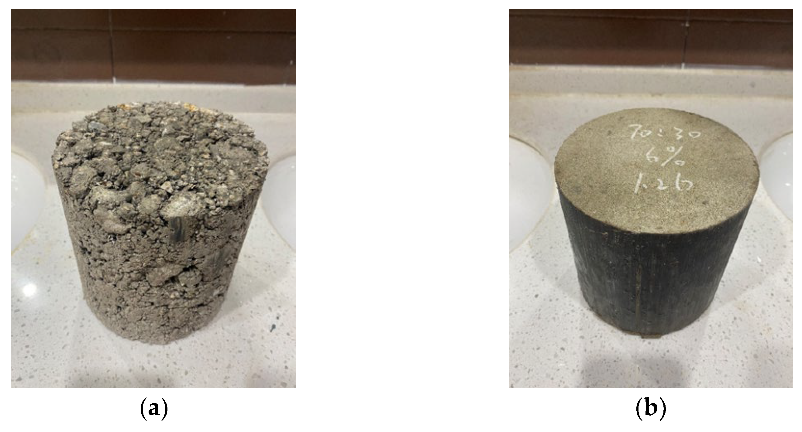 Coatings 13 00487 g011 550