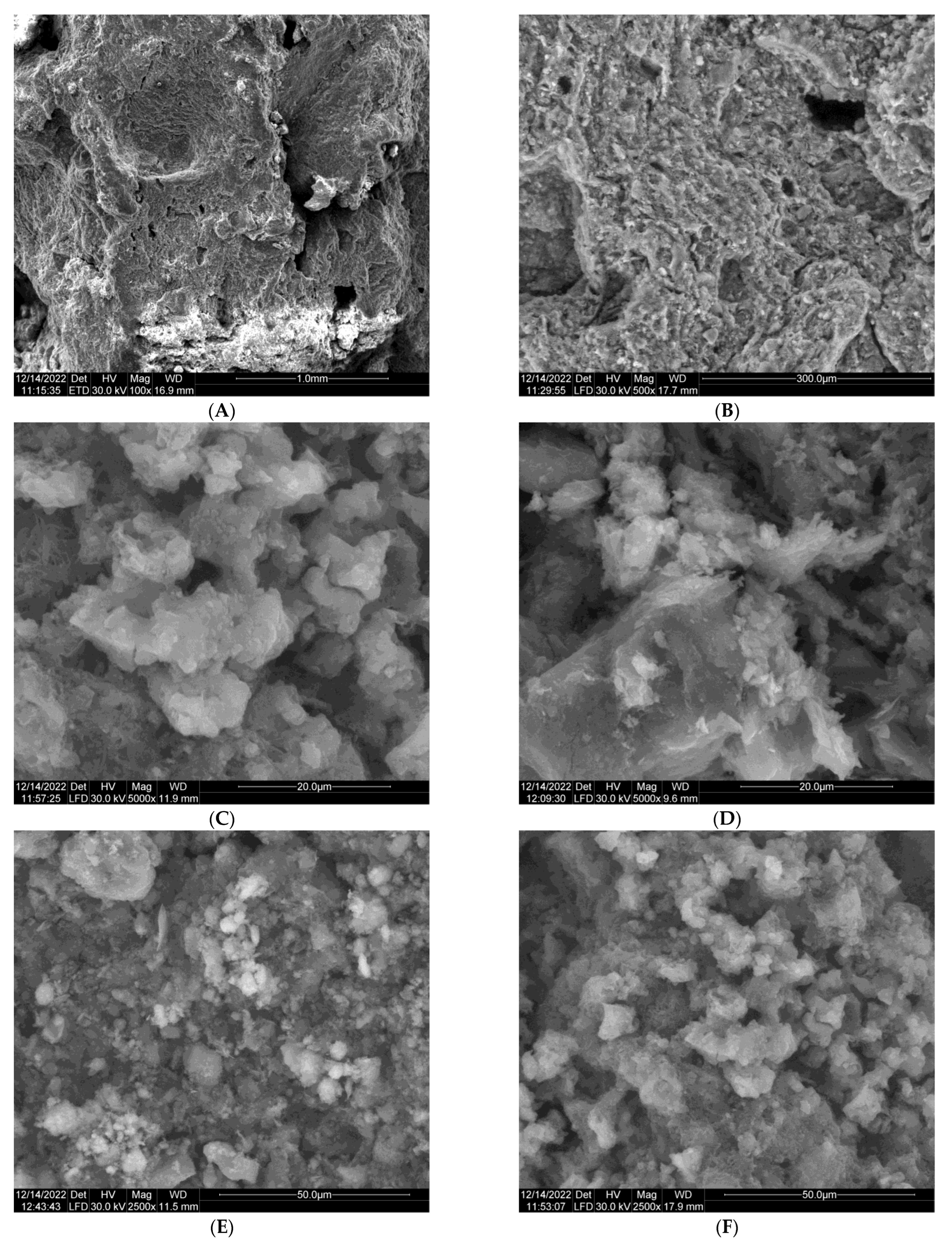 Coatings 13 00488 g004