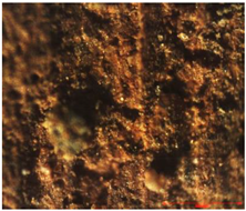 Coatings 13 00488 i002