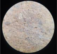 Coatings 13 00488 i003