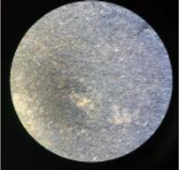 Coatings 13 00488 i006