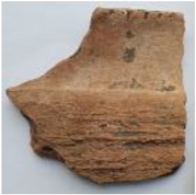 Coatings 13 00488 i010