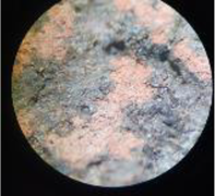 Coatings 13 00488 i015