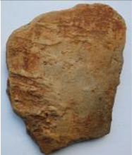 Coatings 13 00488 i019