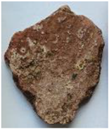 Coatings 13 00488 i025