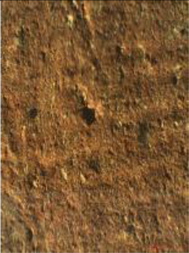 Coatings 13 00488 i029