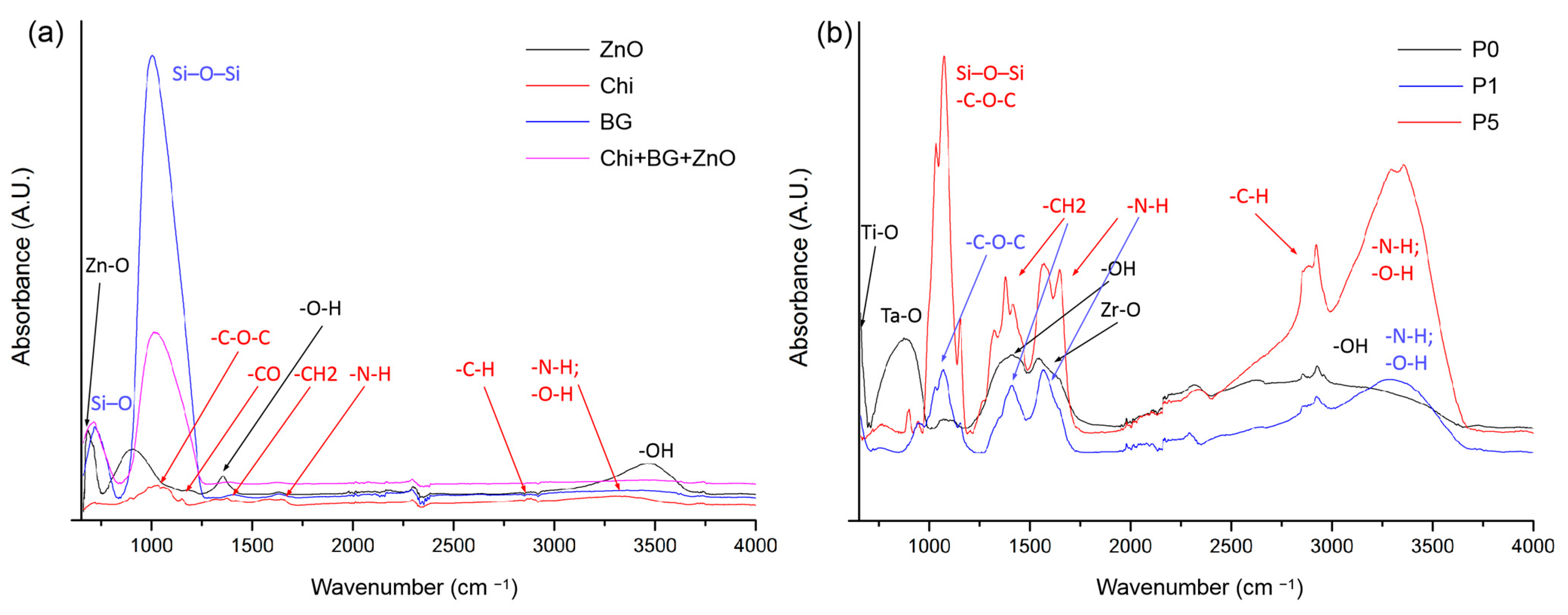 Coatings 13 00493 g006