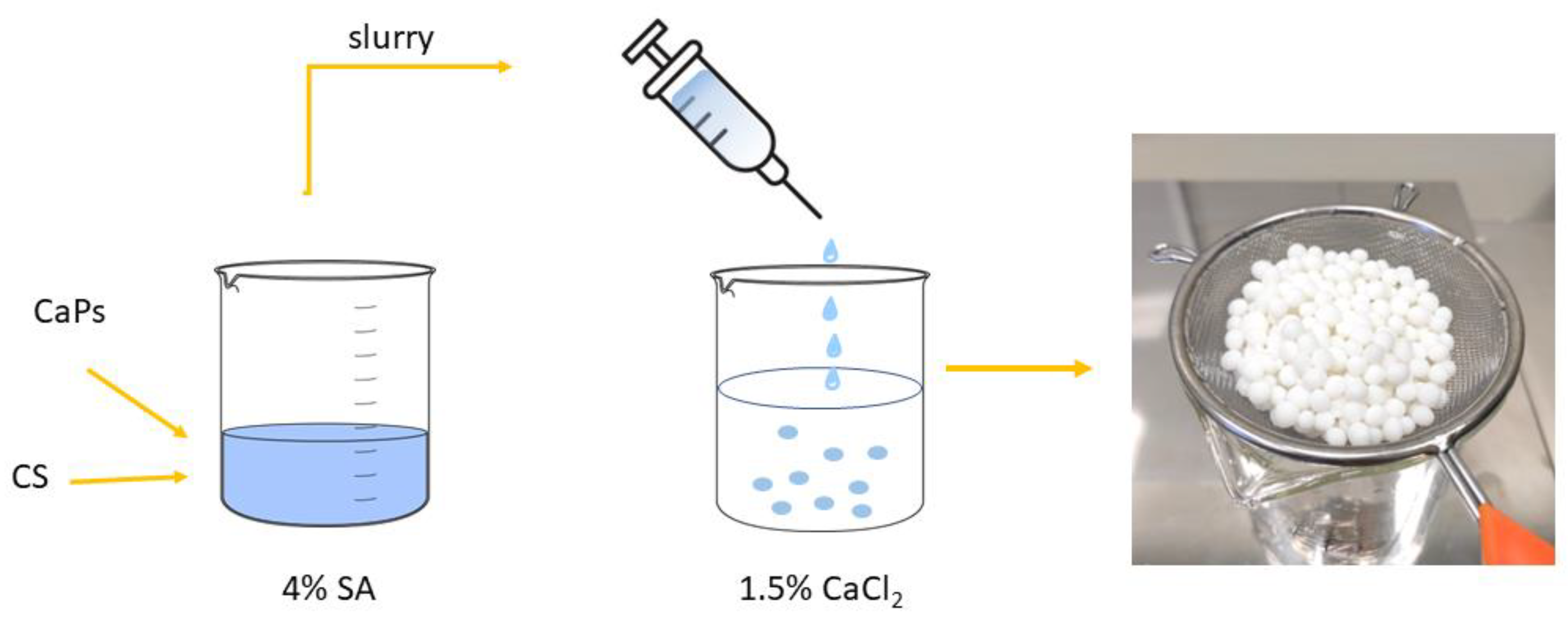 Coatings 13 00494 g001 Coatings 13 00494 g001