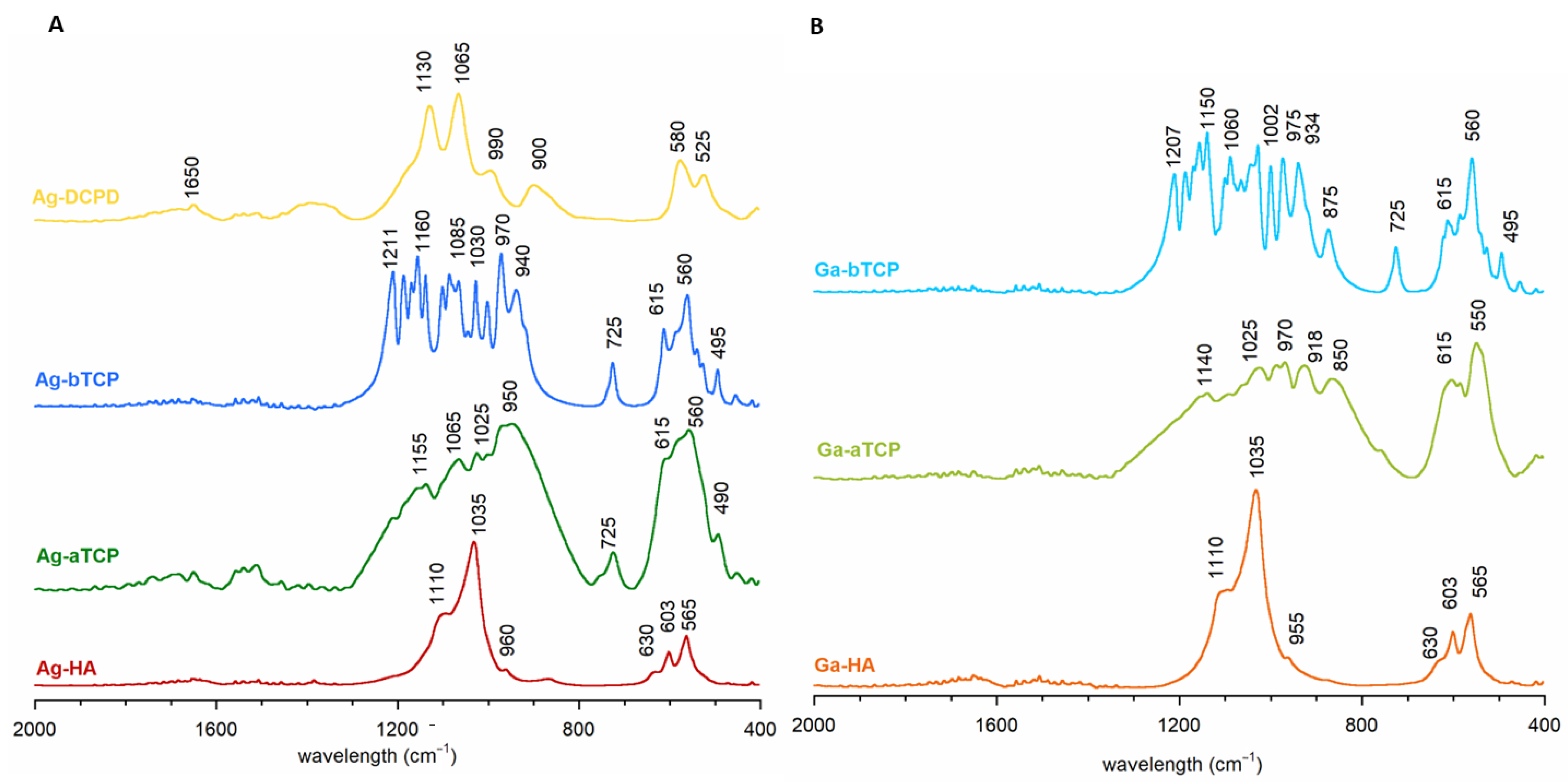 Coatings 13 00494 g002 Coatings 13 00494 g002