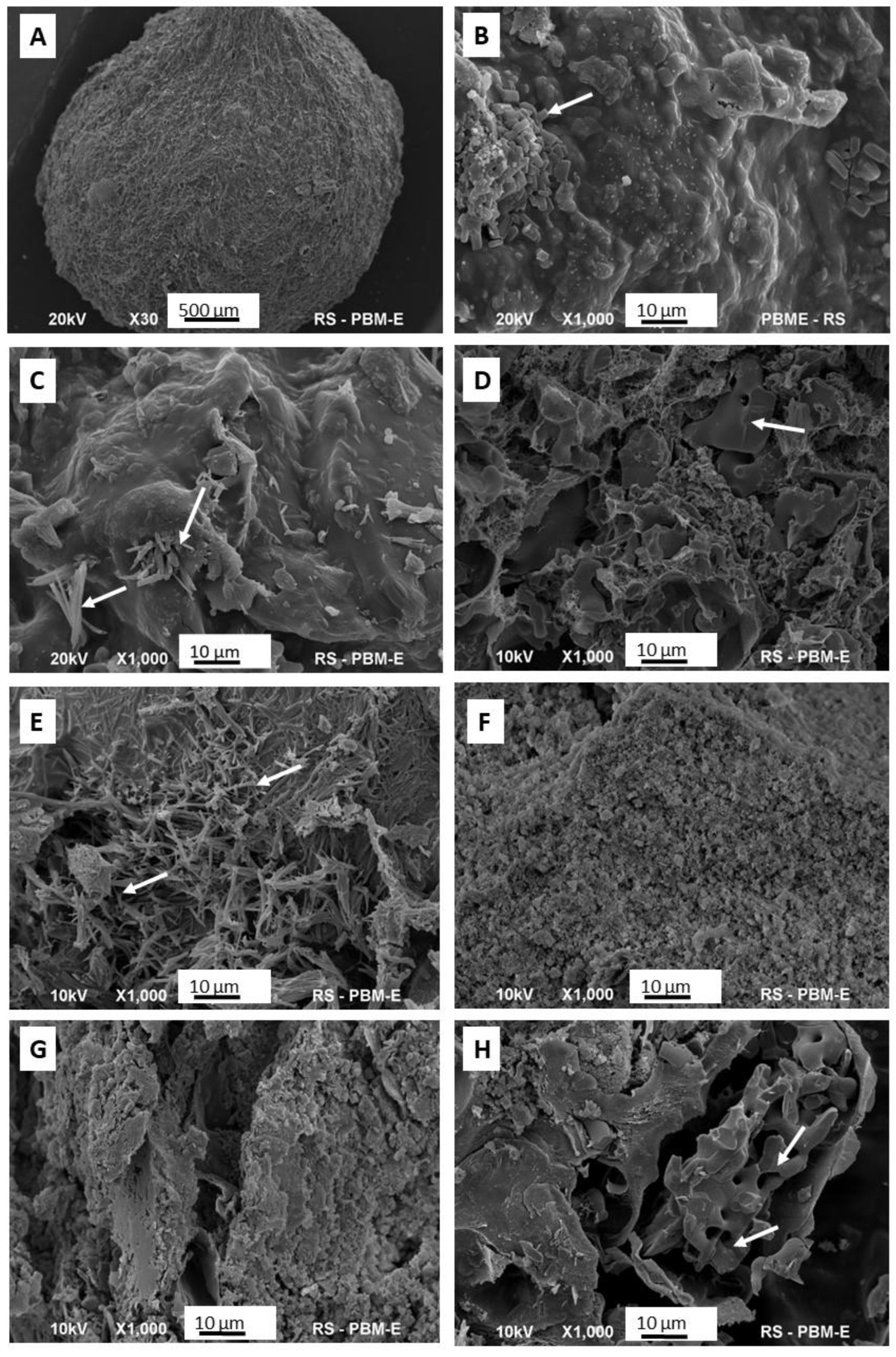 Coatings 13 00494 g004 Coatings 13 00494 g004