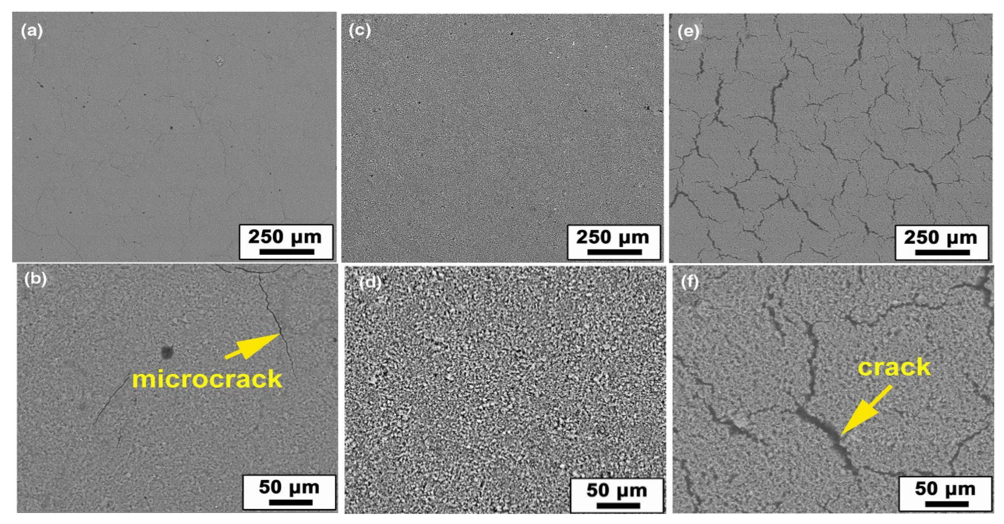 Coatings 13 00495 g008 Coatings 13 00495 g008