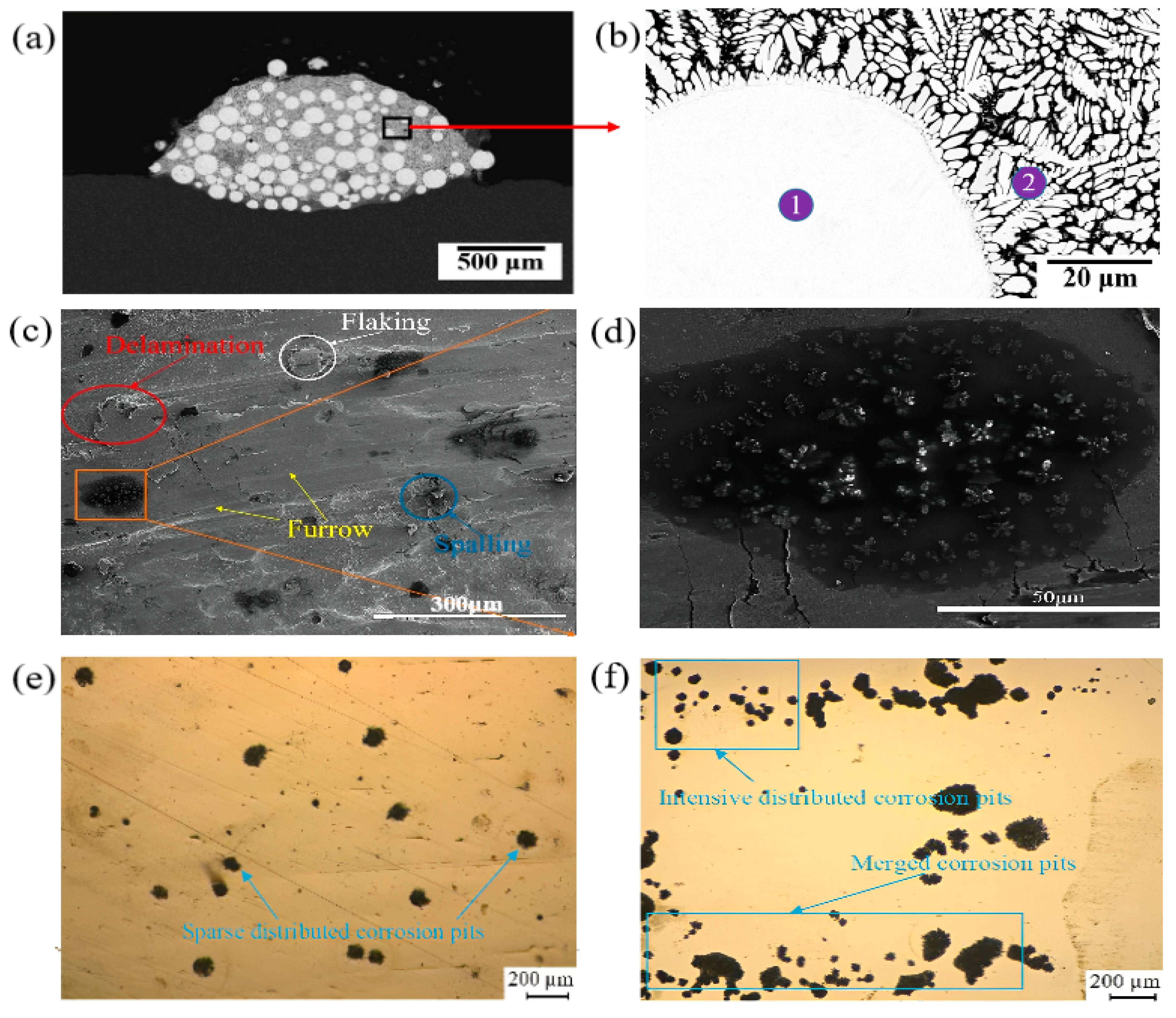 Coatings 13 00496 g010 Coatings 13 00496 g010