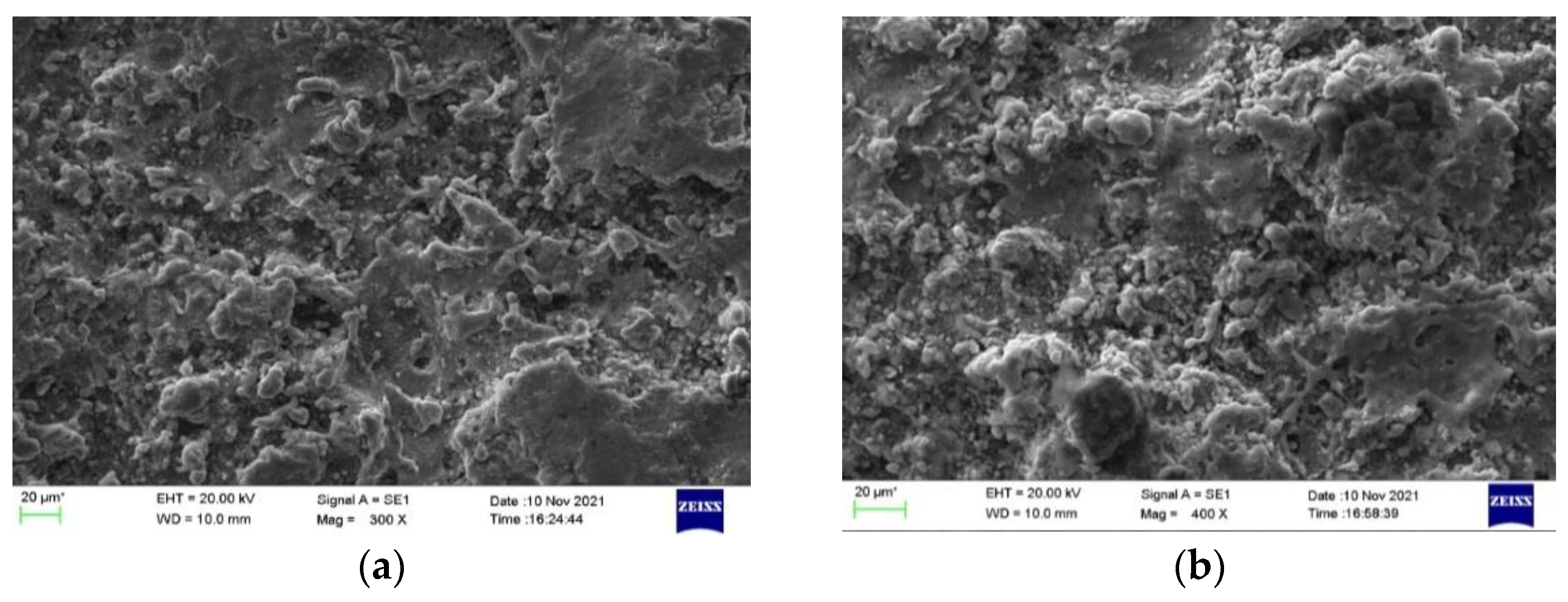 Coatings 13 00497 g006