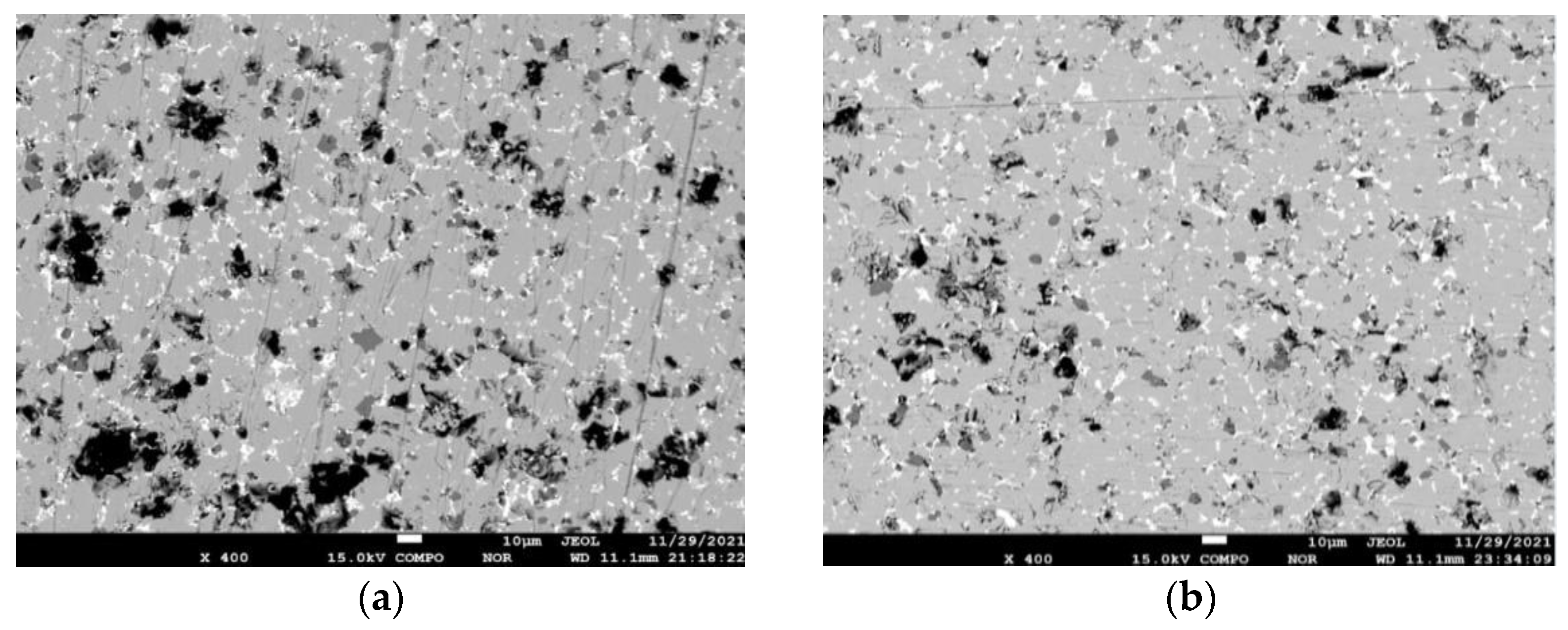 Coatings 13 00497 g007