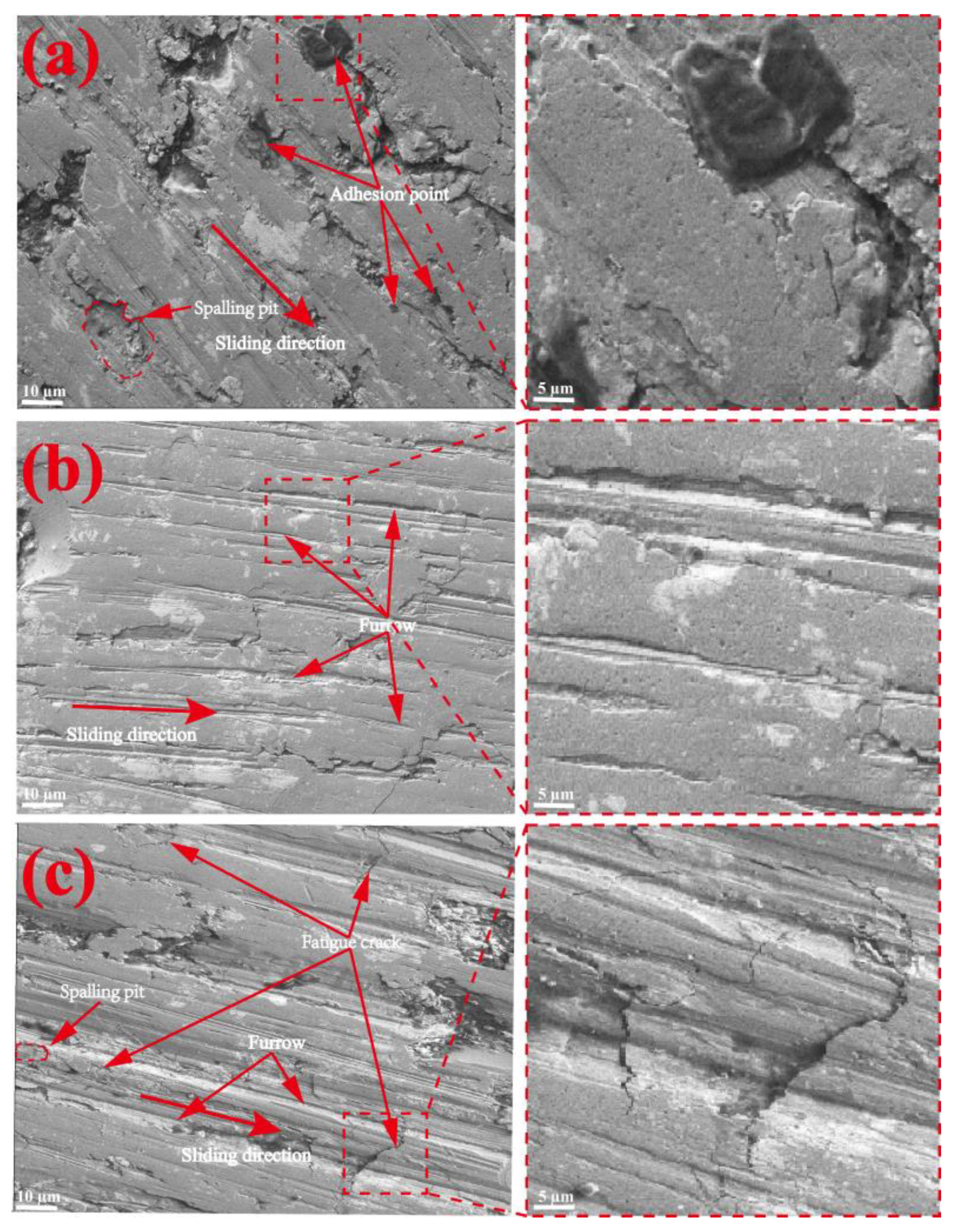 Coatings 13 00499 g012 Coatings 13 00499 g012