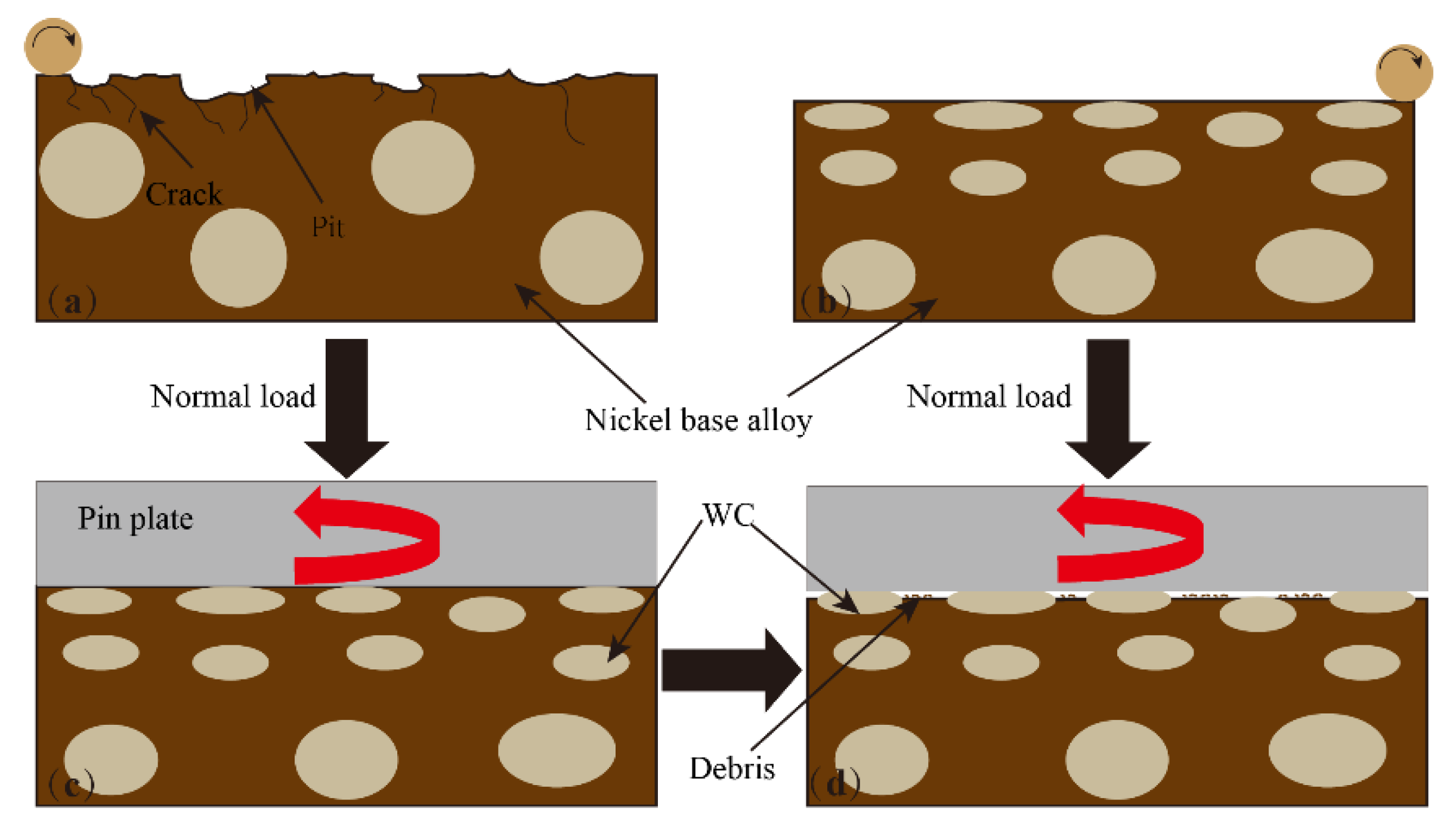 Coatings 13 00499 g013 Coatings 13 00499 g013