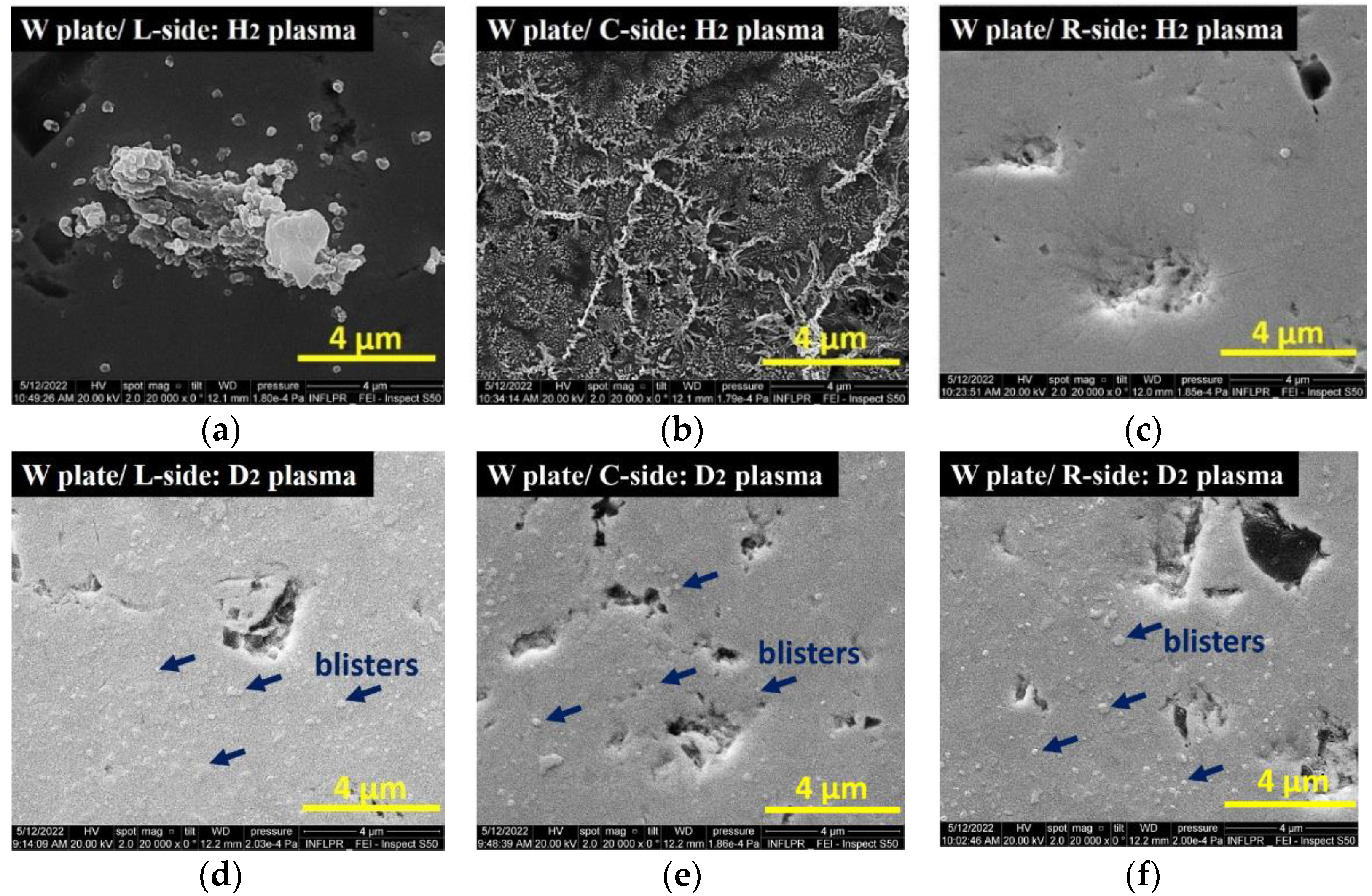 Coatings 13 00503 g002 Coatings 13 00503 g002