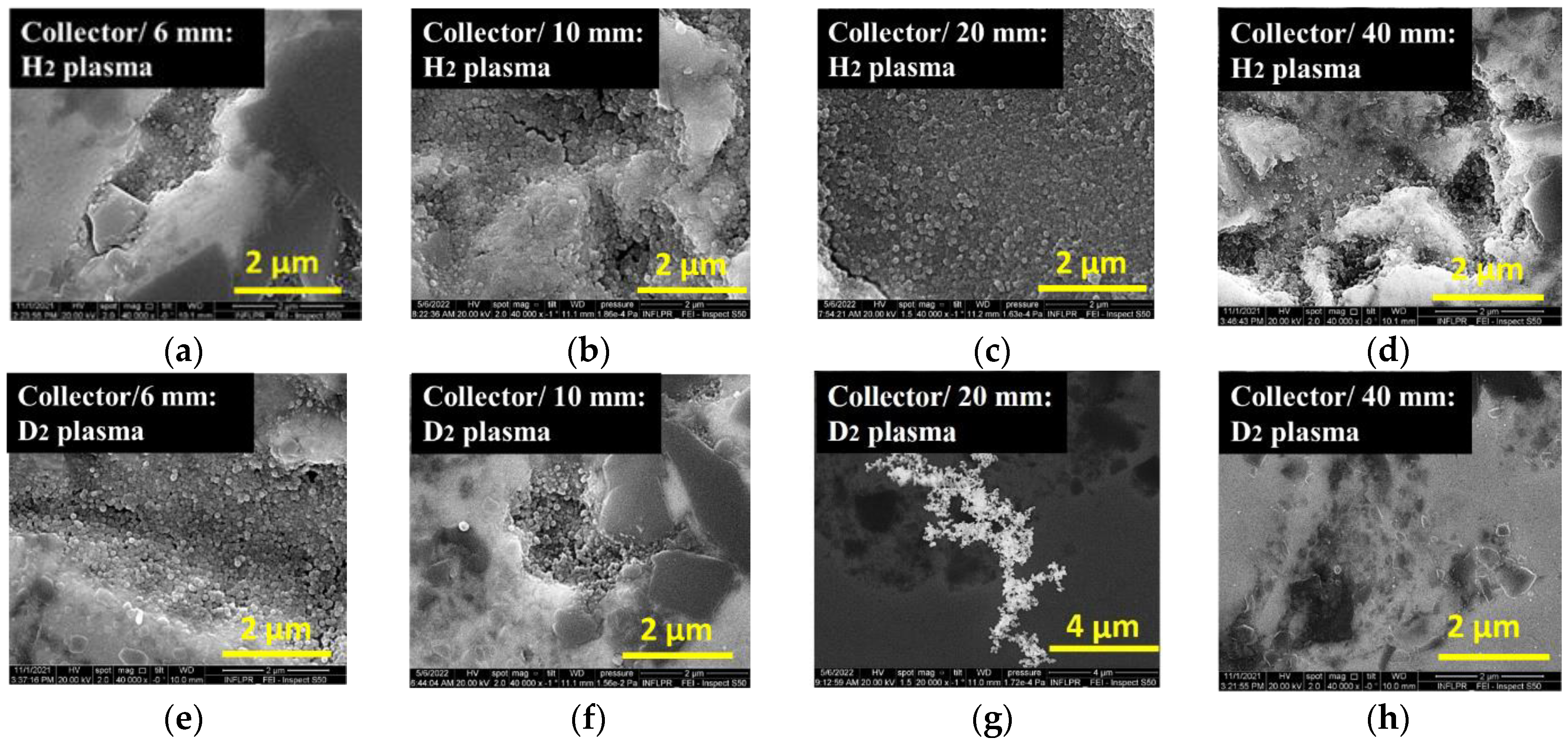 Coatings 13 00503 g004 Coatings 13 00503 g004