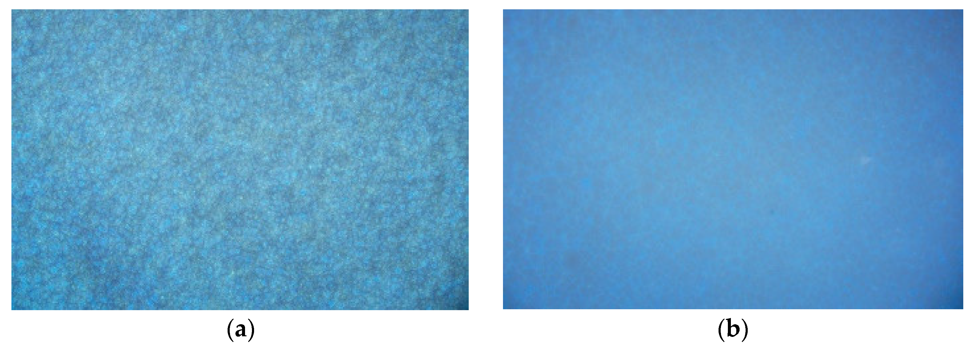 Coatings 13 00504 g008