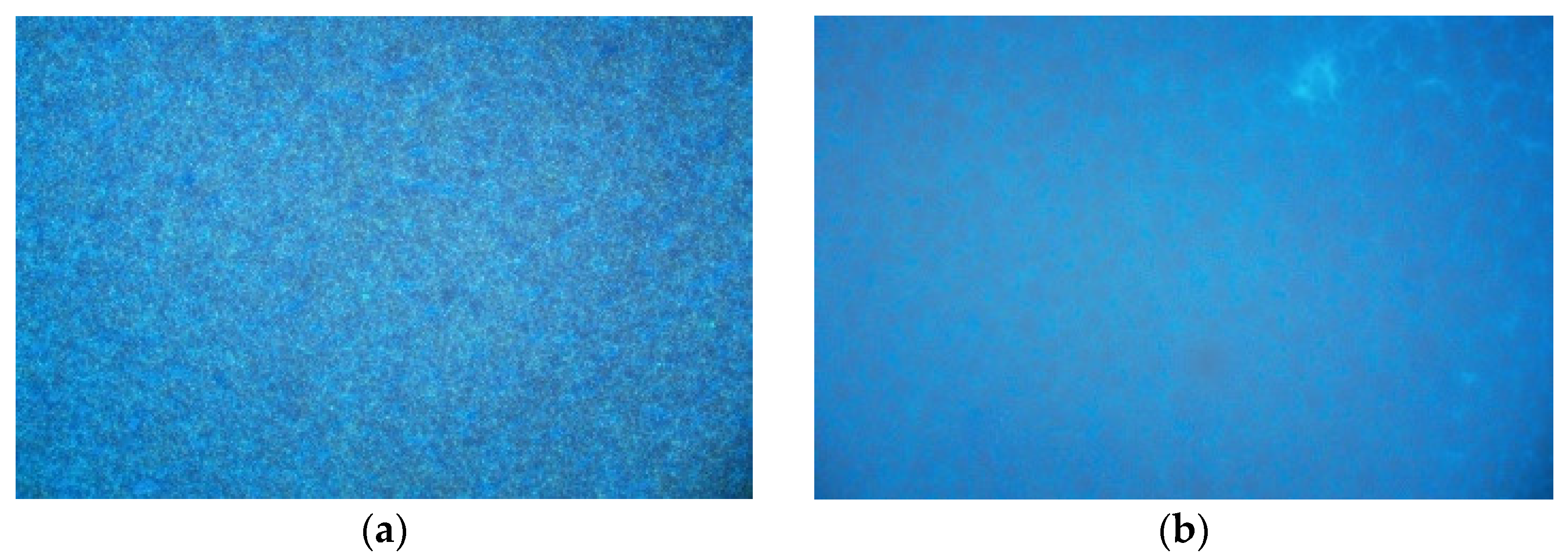 Coatings 13 00504 g009