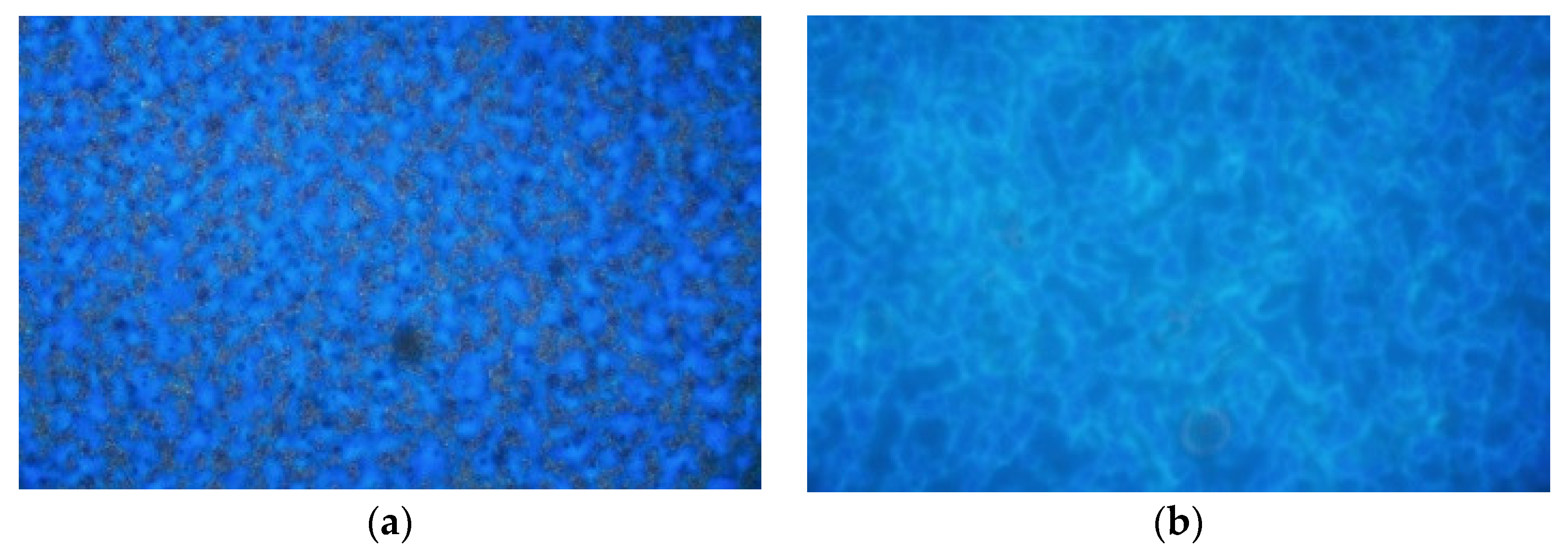 Coatings 13 00504 g012