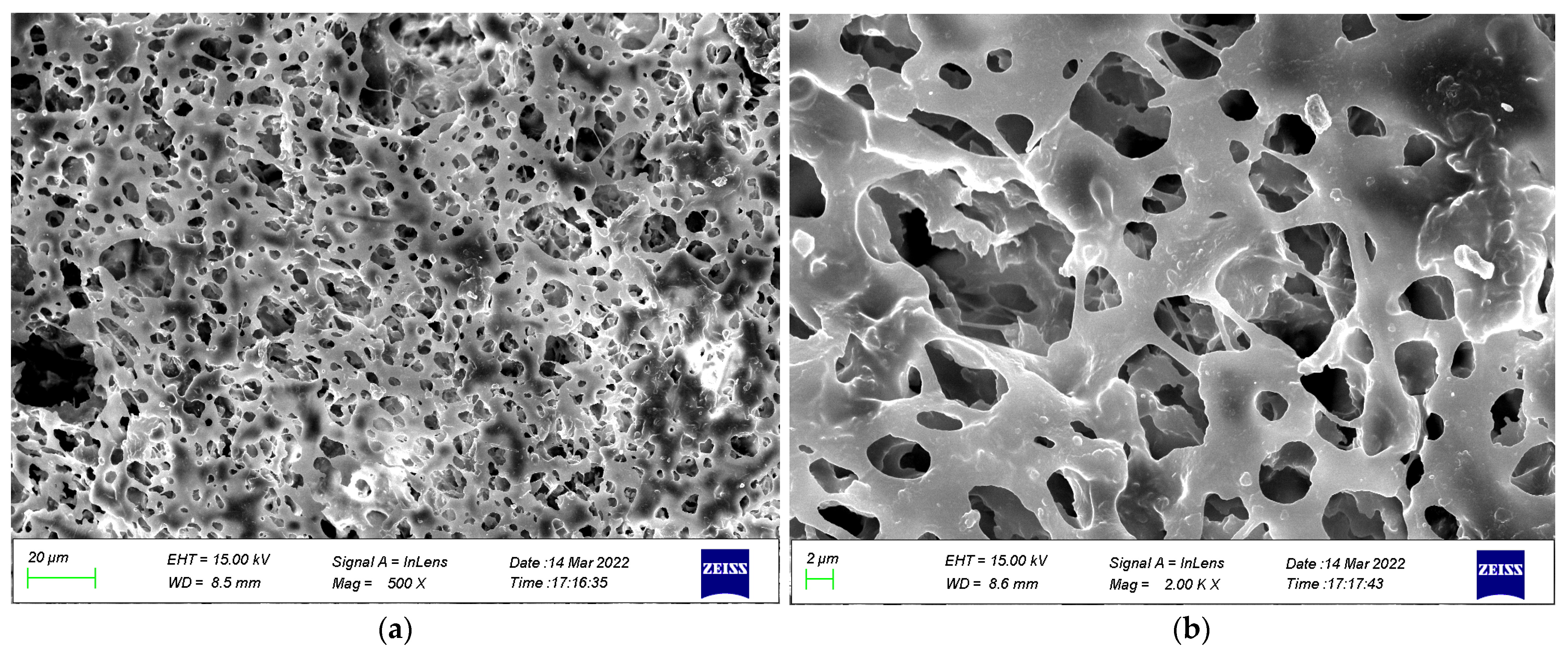 Coatings 13 00504 g017