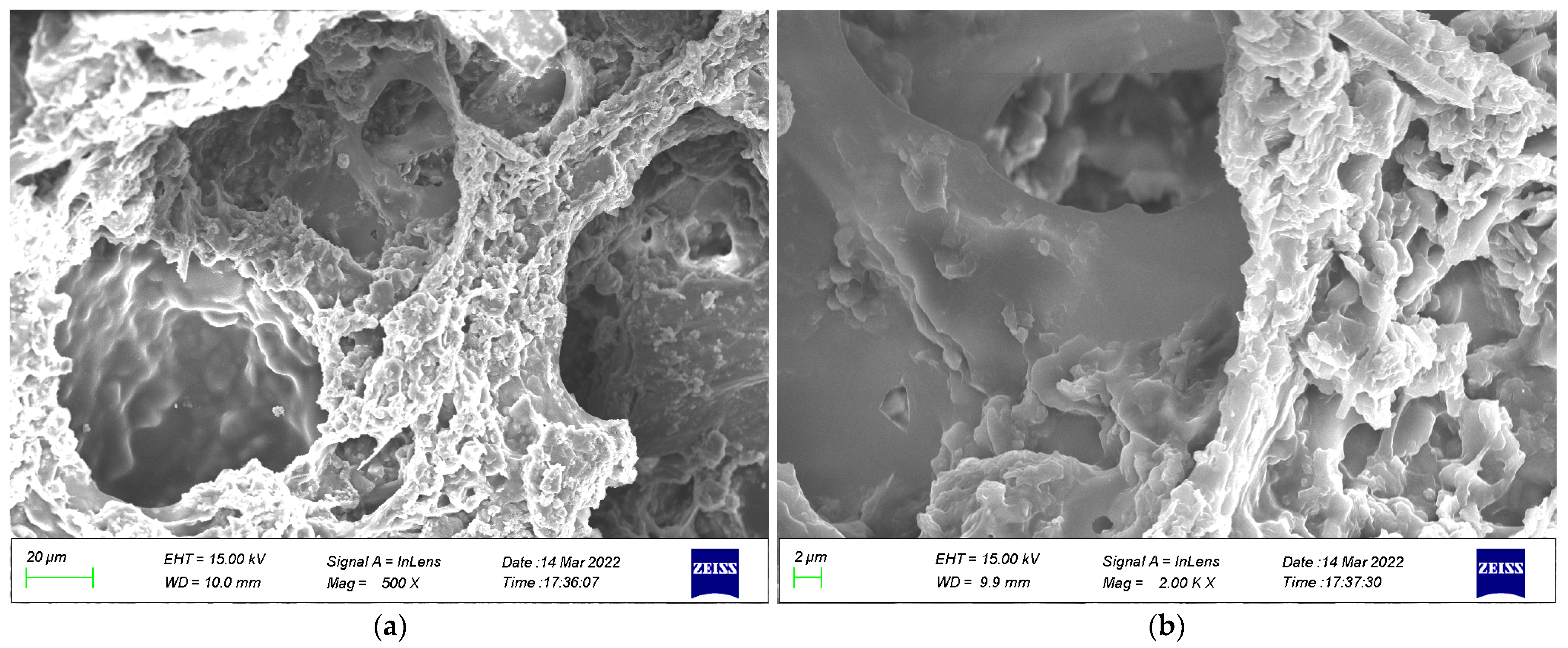 Coatings 13 00504 g019
