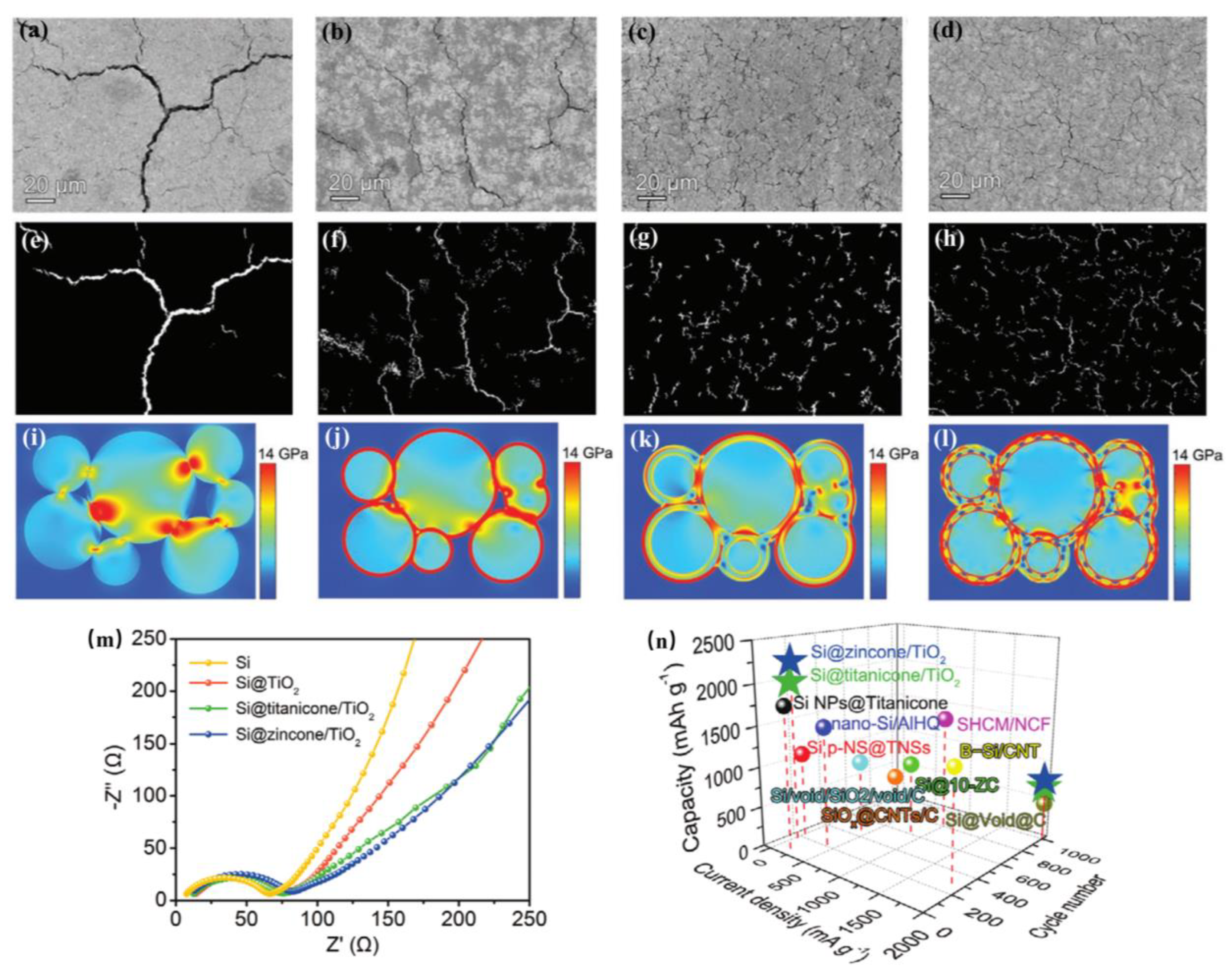 Coatings 13 00505 g004