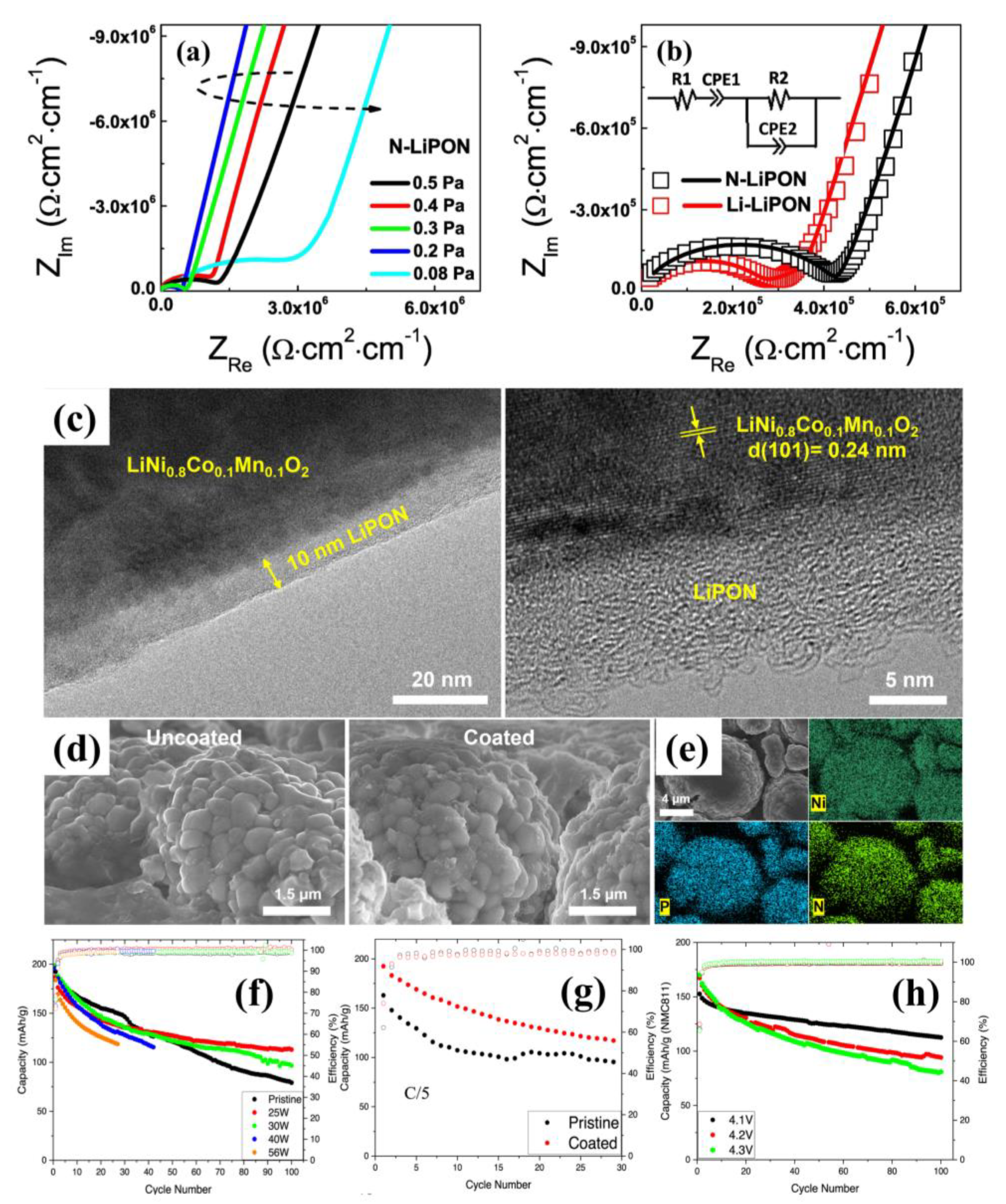 Coatings 13 00505 g006