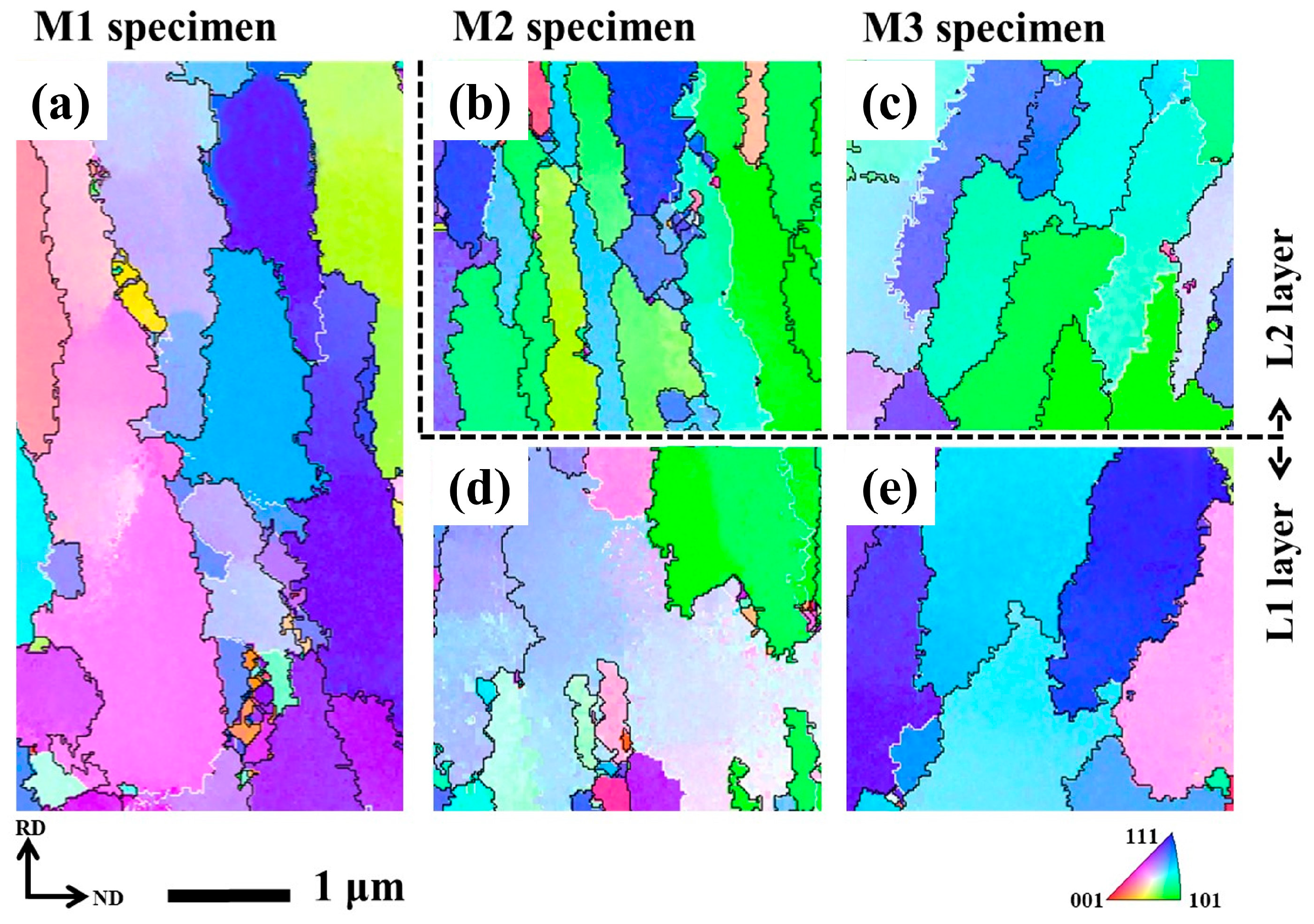 Coatings 13 00512 g005 Coatings 13 00512 g005