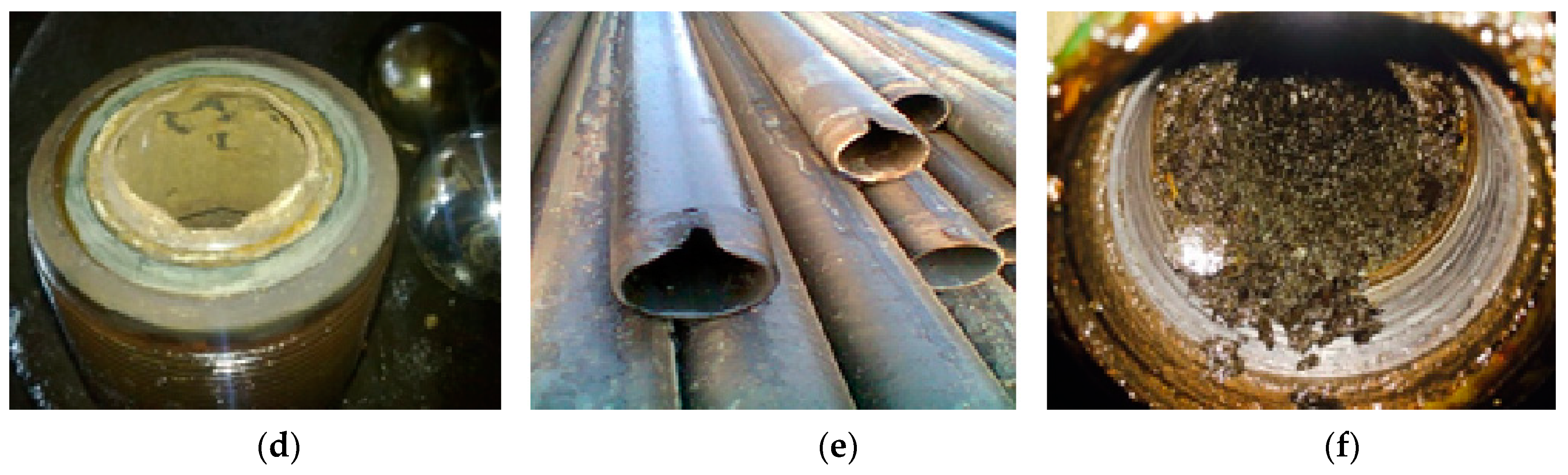 Coatings 13 00514 g001b