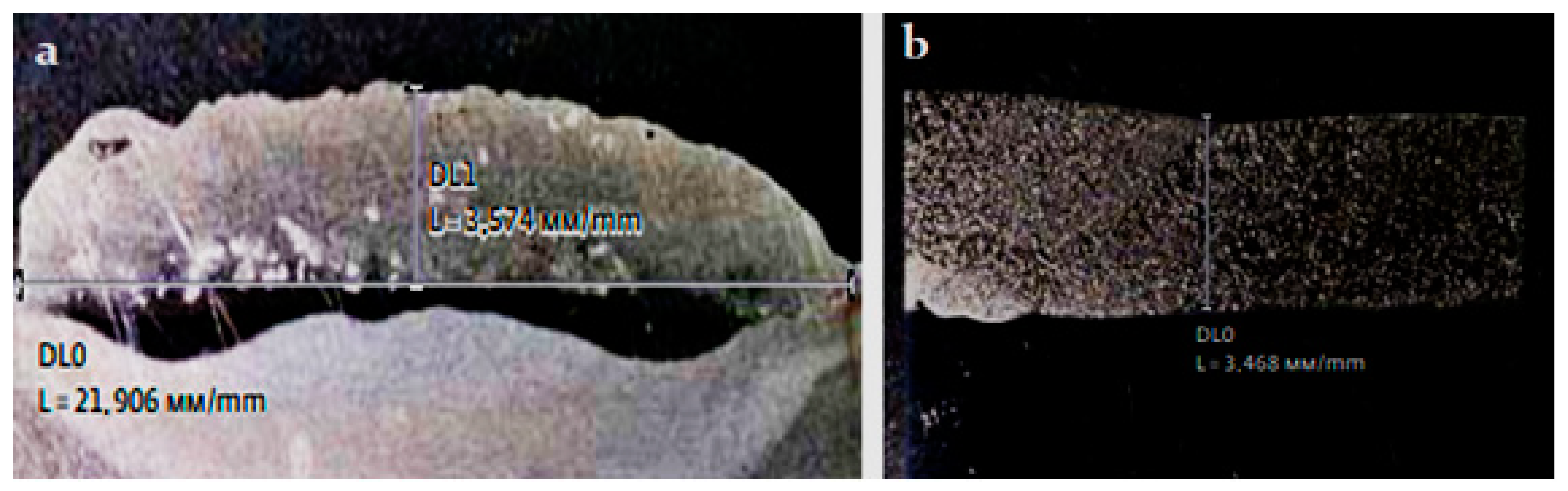 Coatings 13 00514 g004