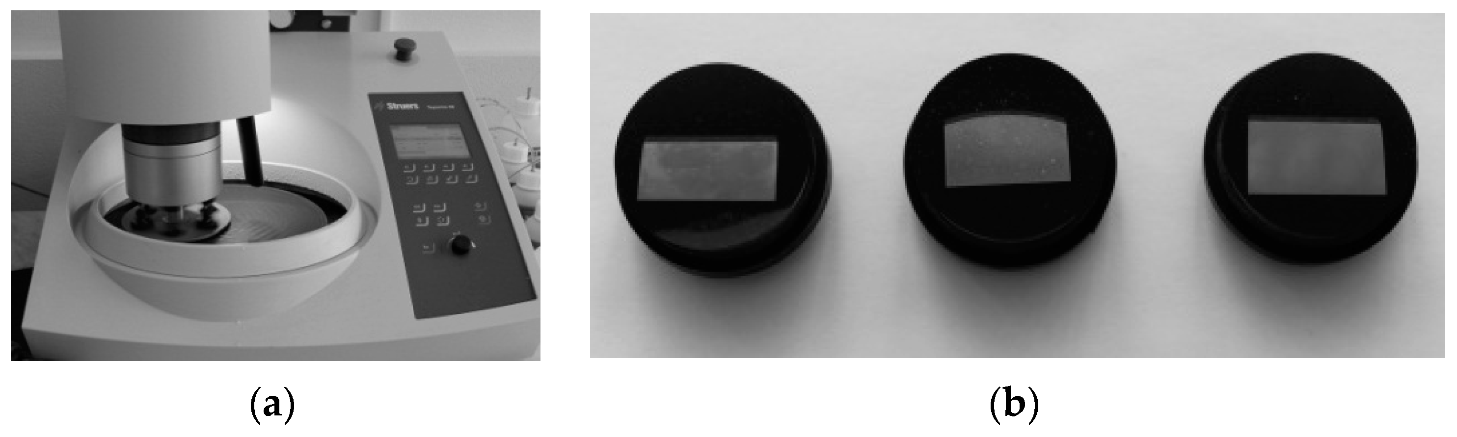 Coatings 13 00514 g012