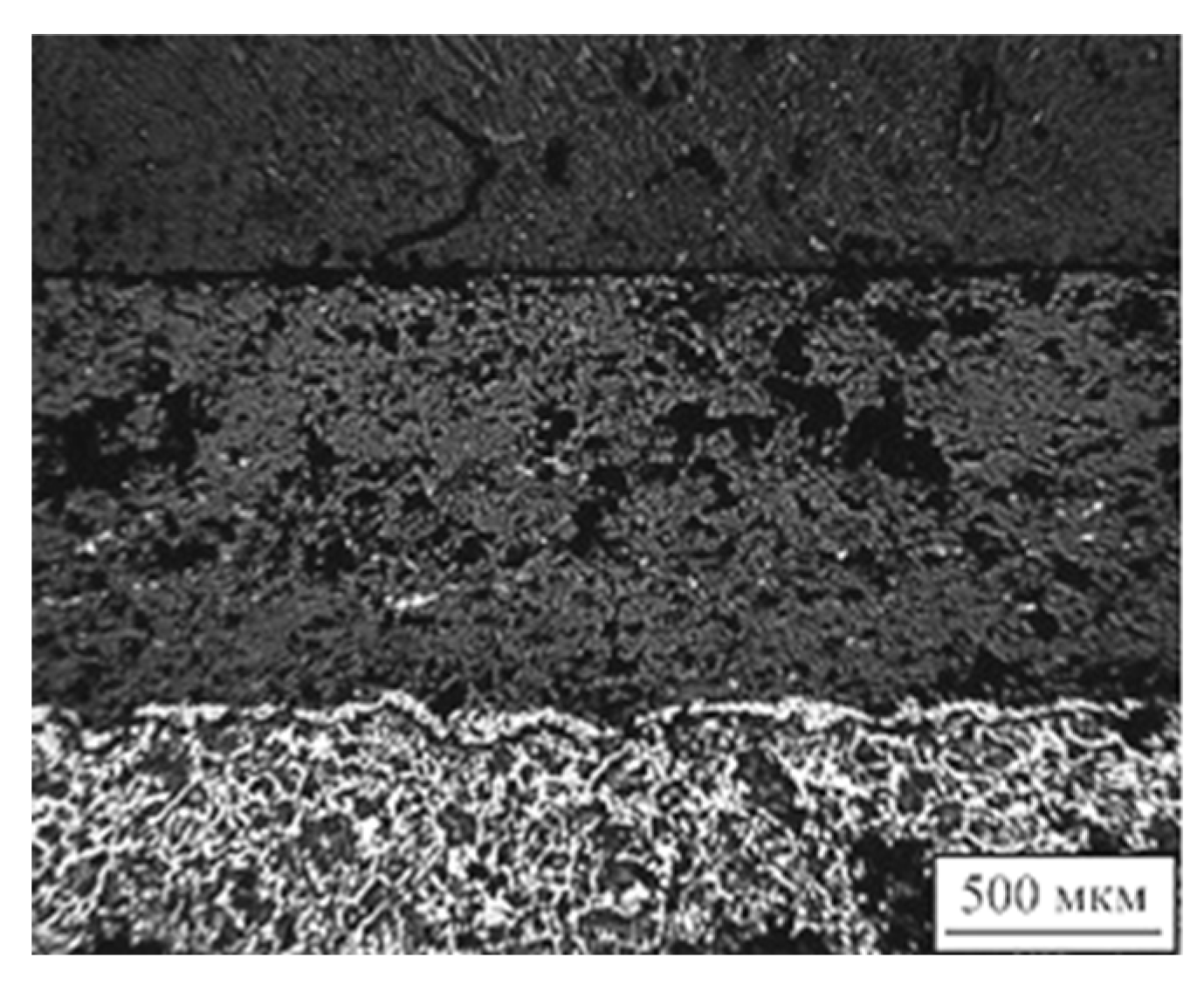 Coatings 13 00514 g014